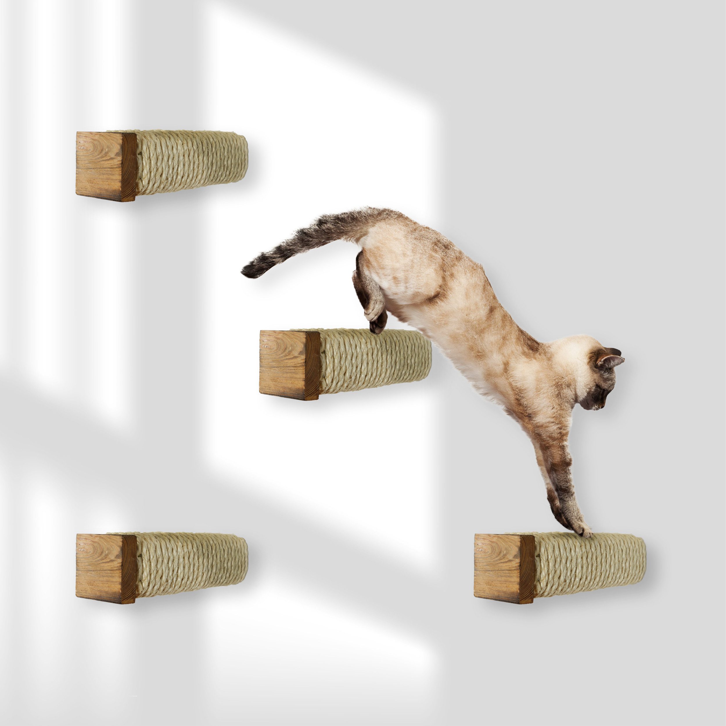 Rohrschneider Katzen-Kletterwand Katzentreppe Wand Wandelement Kratzstamm günstig online kaufen