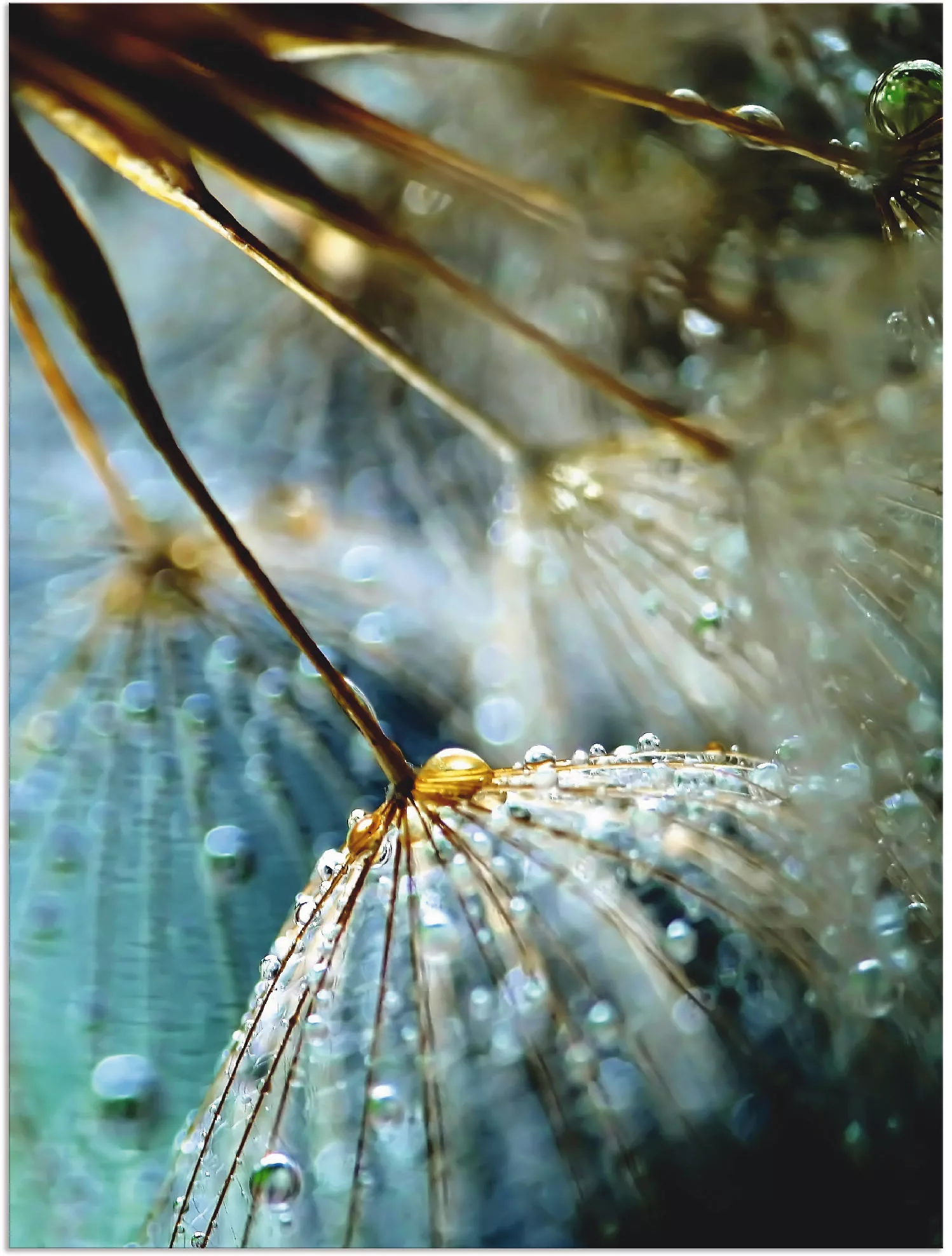 Artland Wandbild "Pusteblume Mystische Schönheit", Blumen, (1 St.), als Alu günstig online kaufen