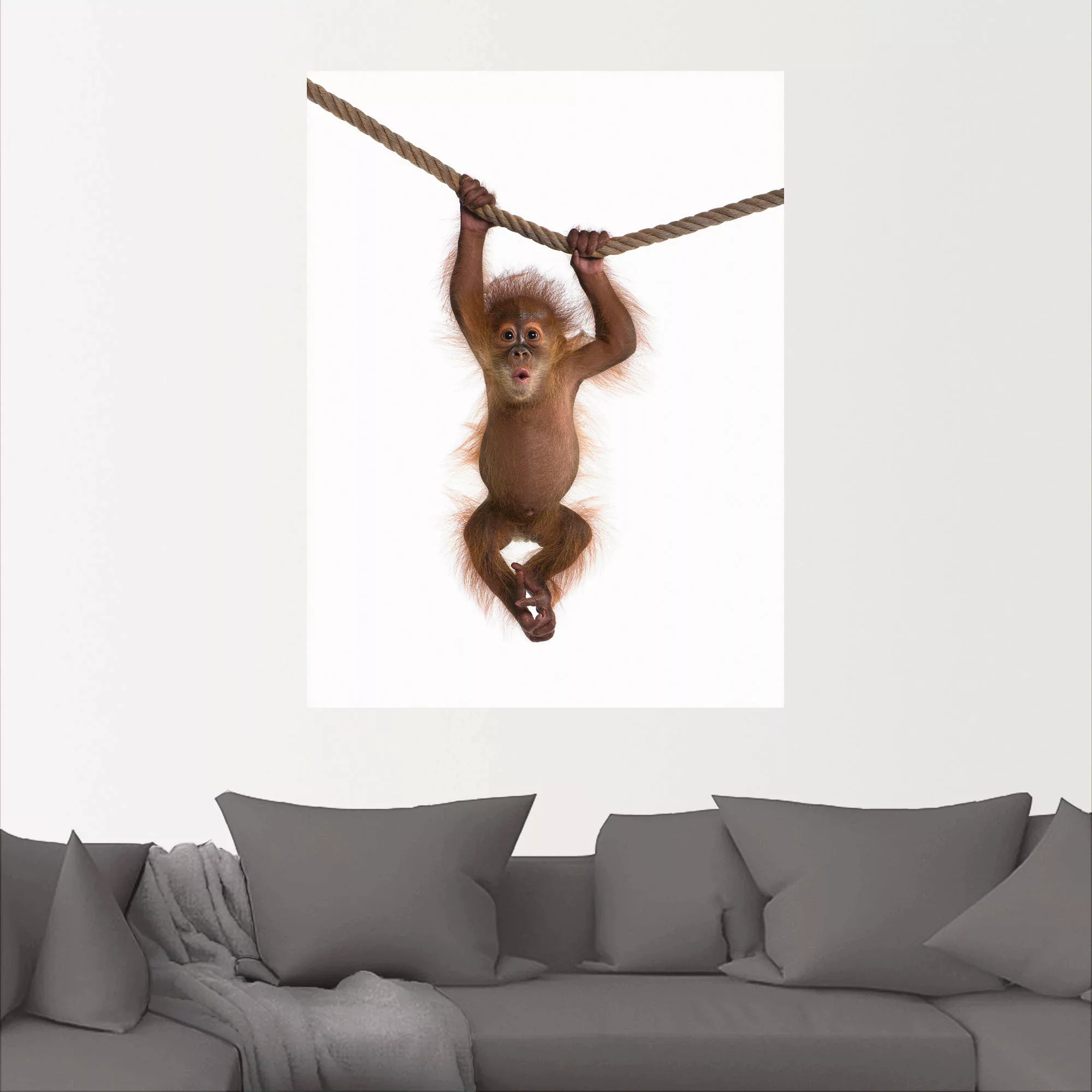 Artland Wandbild "Baby Orang Utan hängt an Seil II", Wildtiere, (1 St.), al günstig online kaufen