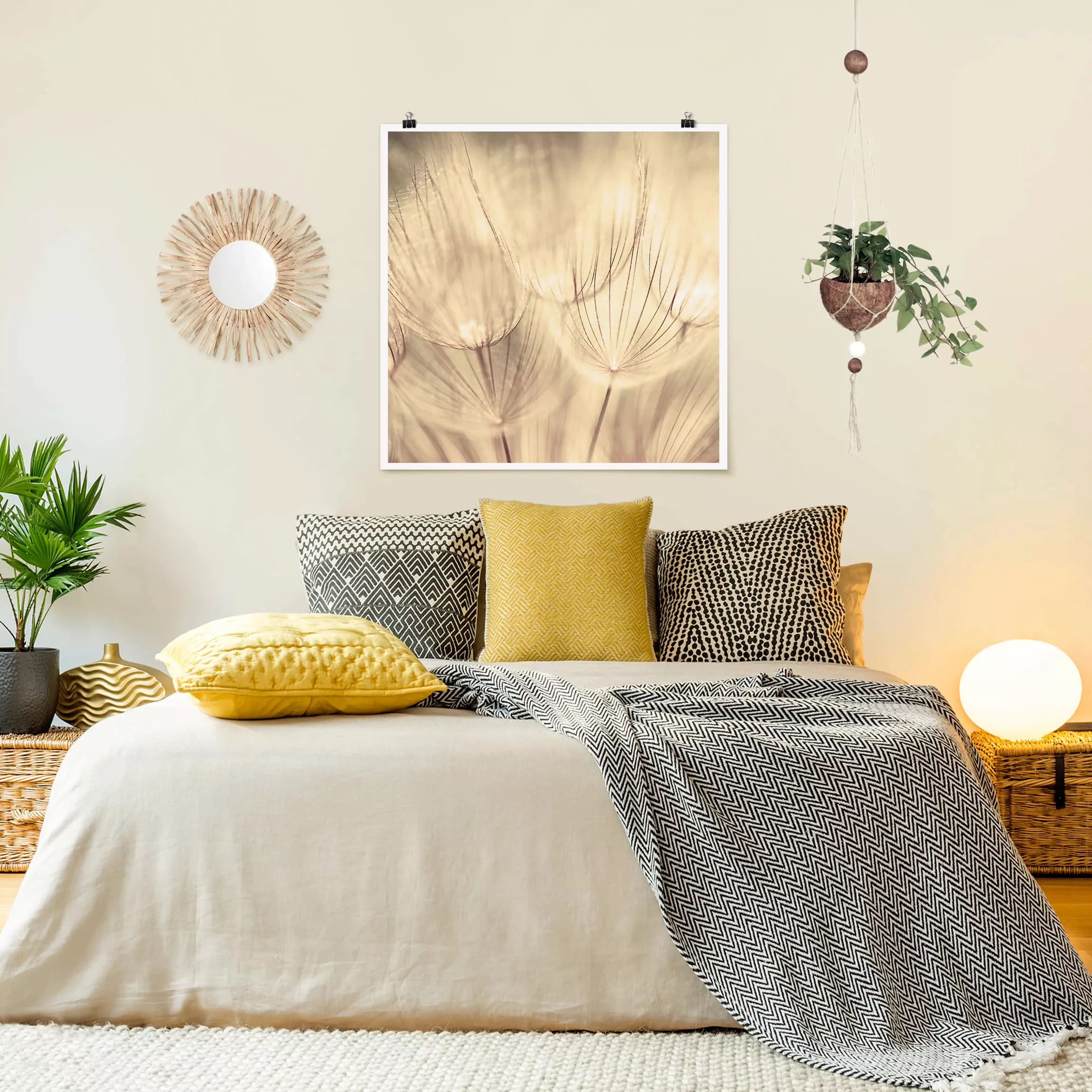 Poster - Quadrat Pusteblumen Nahaufnahme in wohnlicher Sepia Tönung günstig online kaufen