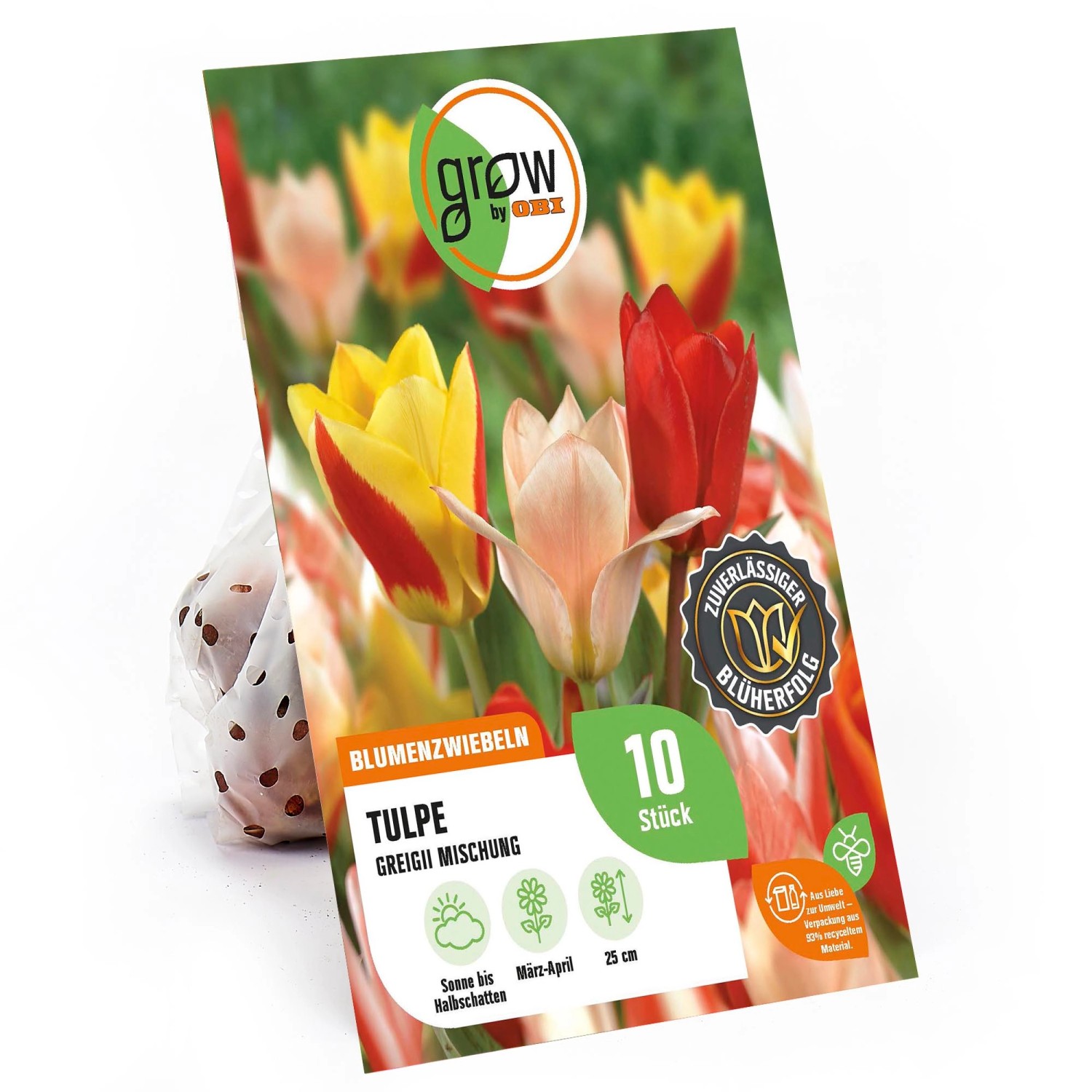 GROW by OBI Greigii-Tulpen Mischung 25 cm Tulipa greigii günstig online kaufen