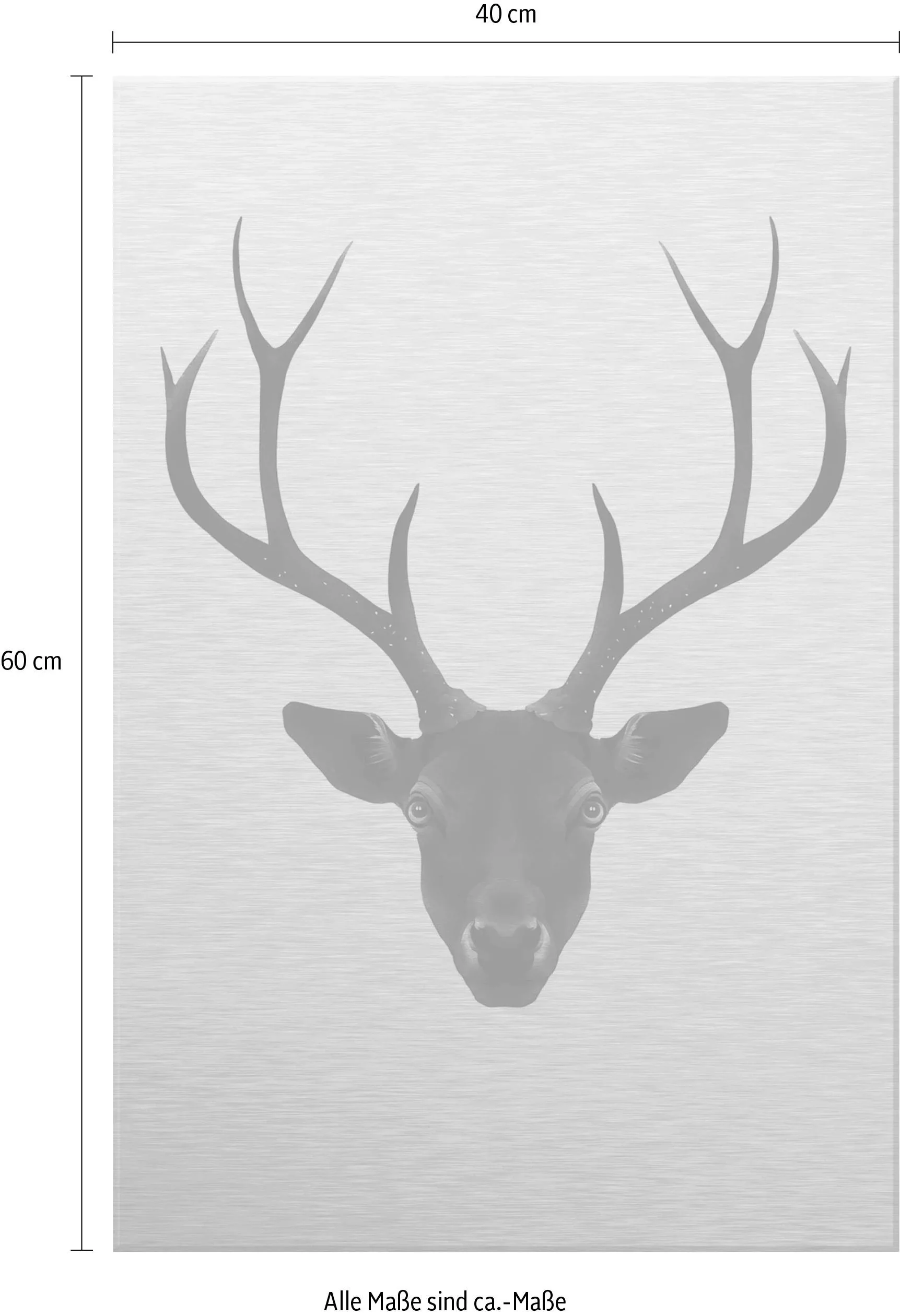 Wall-Art Metallbild »Ireland The Black Deer Schwarzer Hirsch«, Landschaften günstig online kaufen