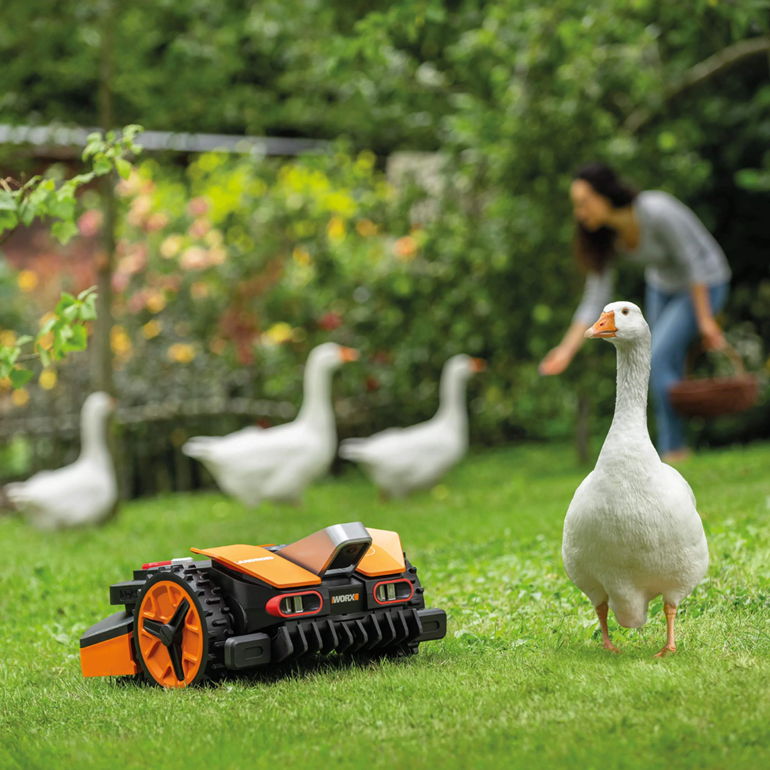 Worx Rasenmähroboter "Mähroboter L1300 Landroid VISION", Intelligenter Mähr günstig online kaufen