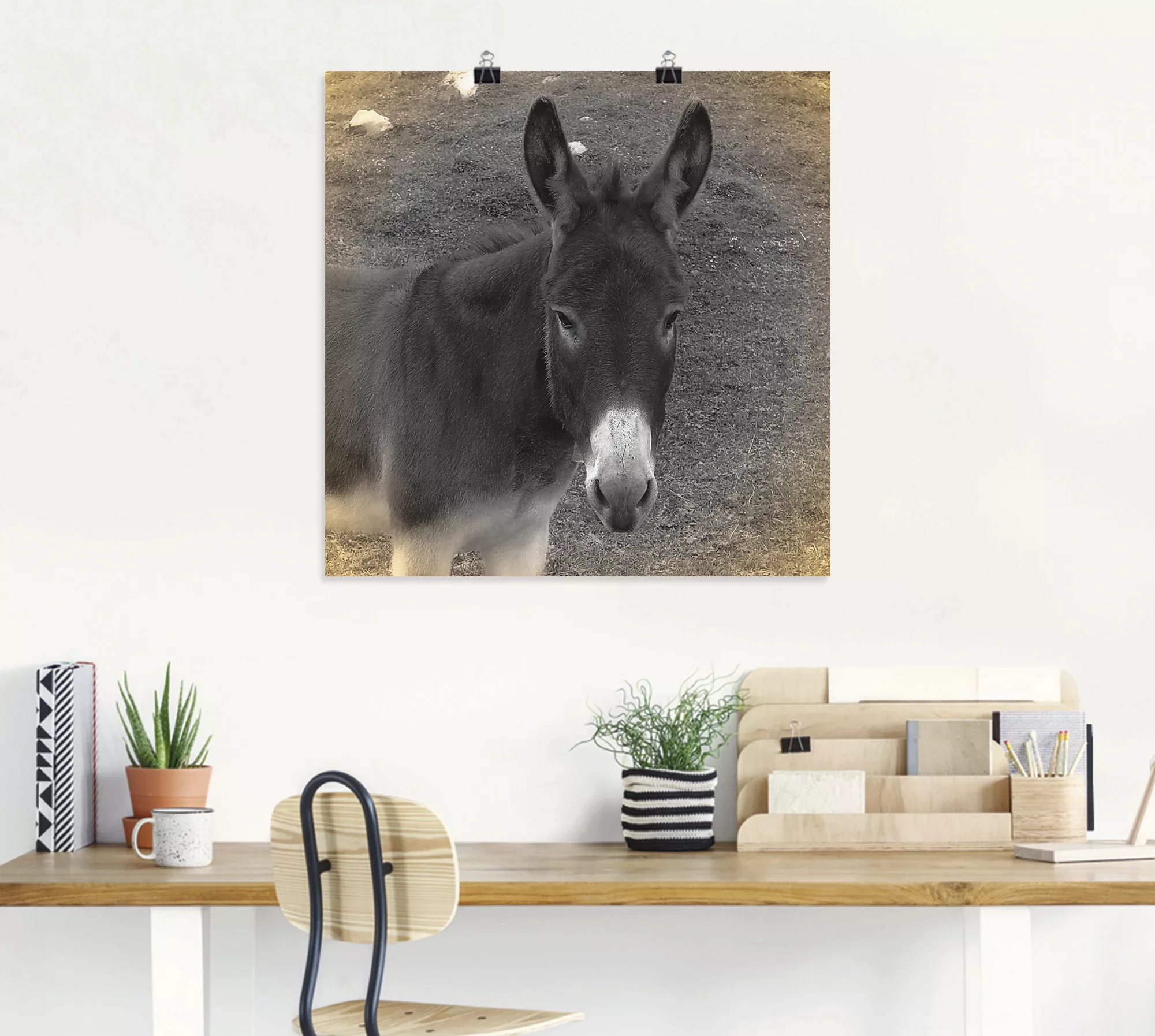 Artland Wandbild »Esel Kontakt«, Haustiere, (1 St.) günstig online kaufen