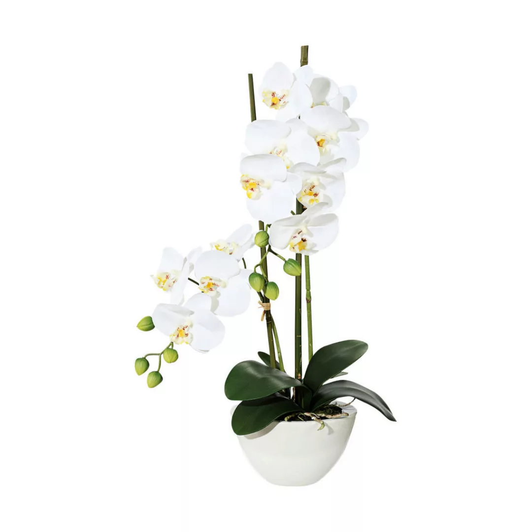 Kunstpflanze Phalaenopsis weiß Kunststoff B/H/L: ca. 17x55x17 cm günstig online kaufen