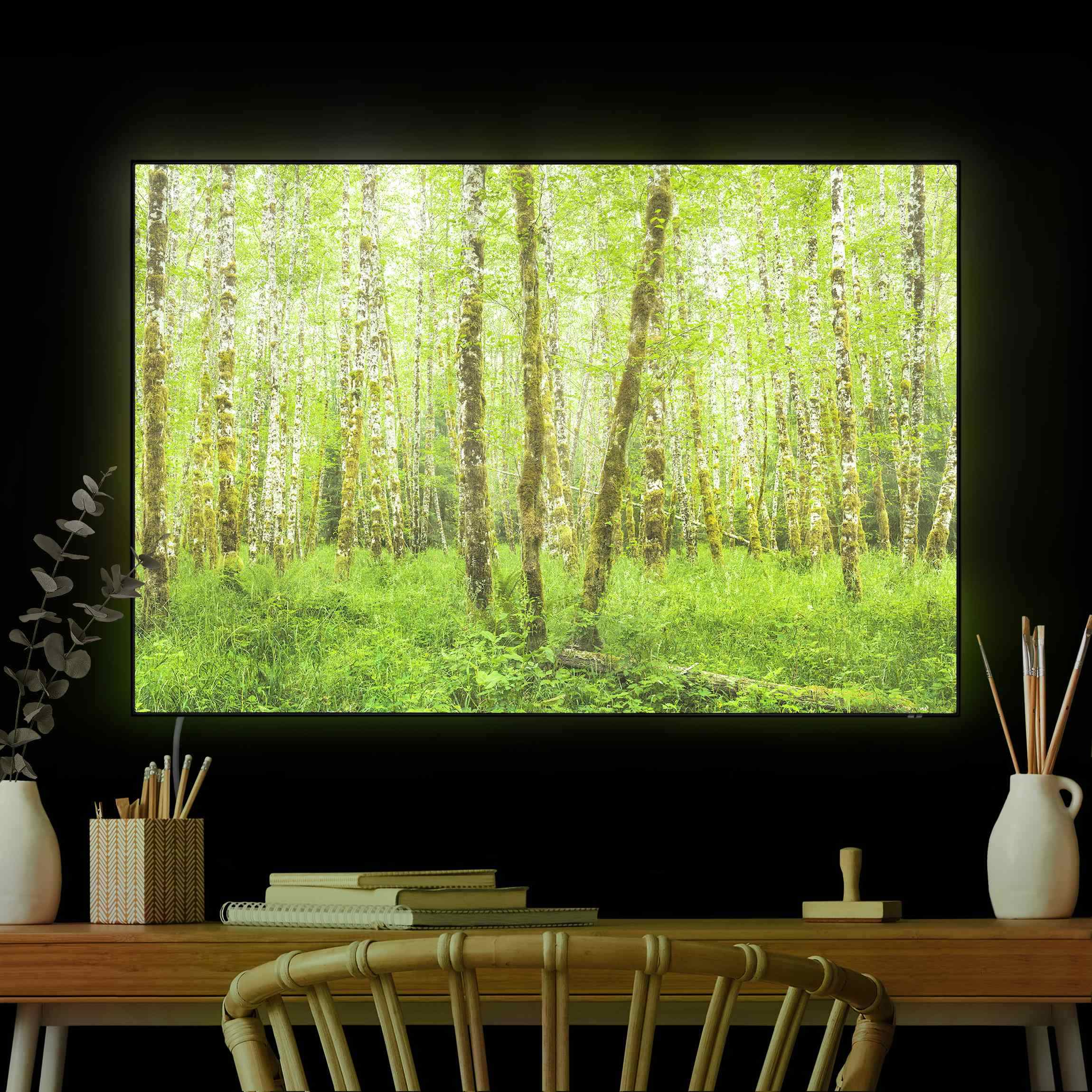 LED-Wechselbild Hoh Rainforest Olympic National Park günstig online kaufen