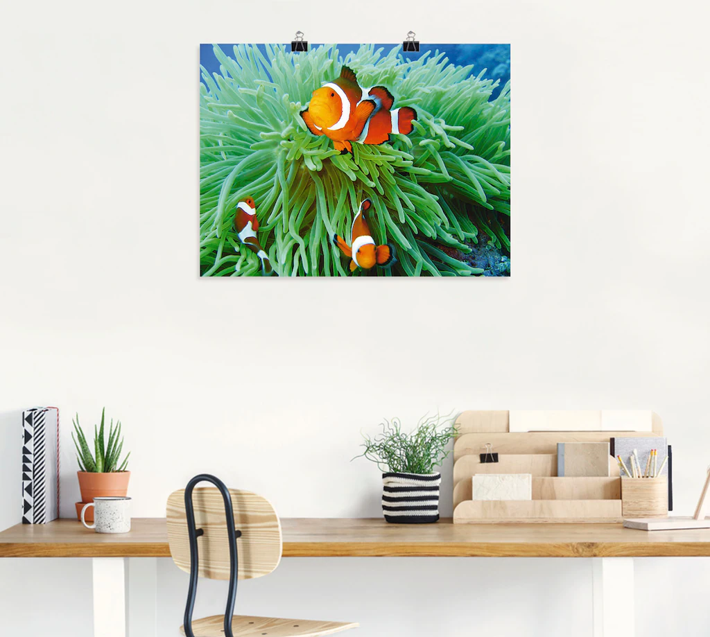 Artland Wandbild "Finde Nemo", Wassertiere, (1 St.), als Poster, Wandaufkle günstig online kaufen