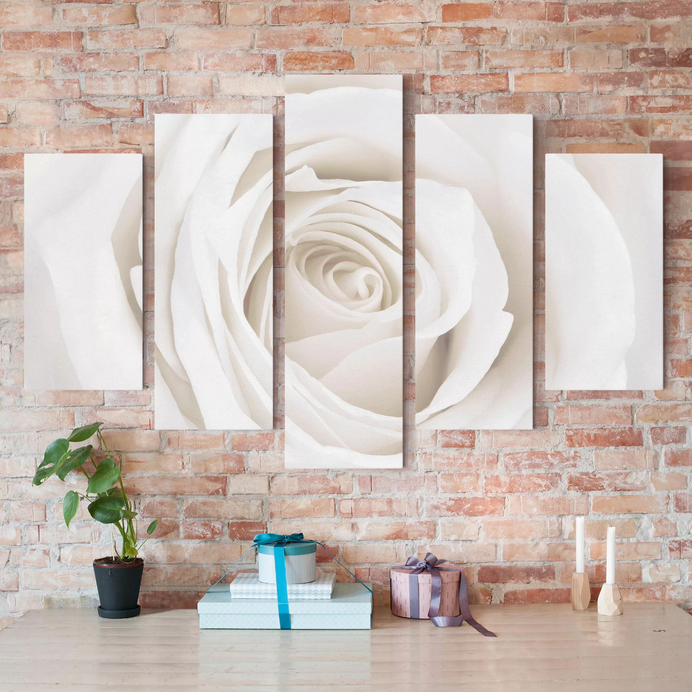 5-teiliges Leinwandbild - Querformat Pretty White Rose günstig online kaufen