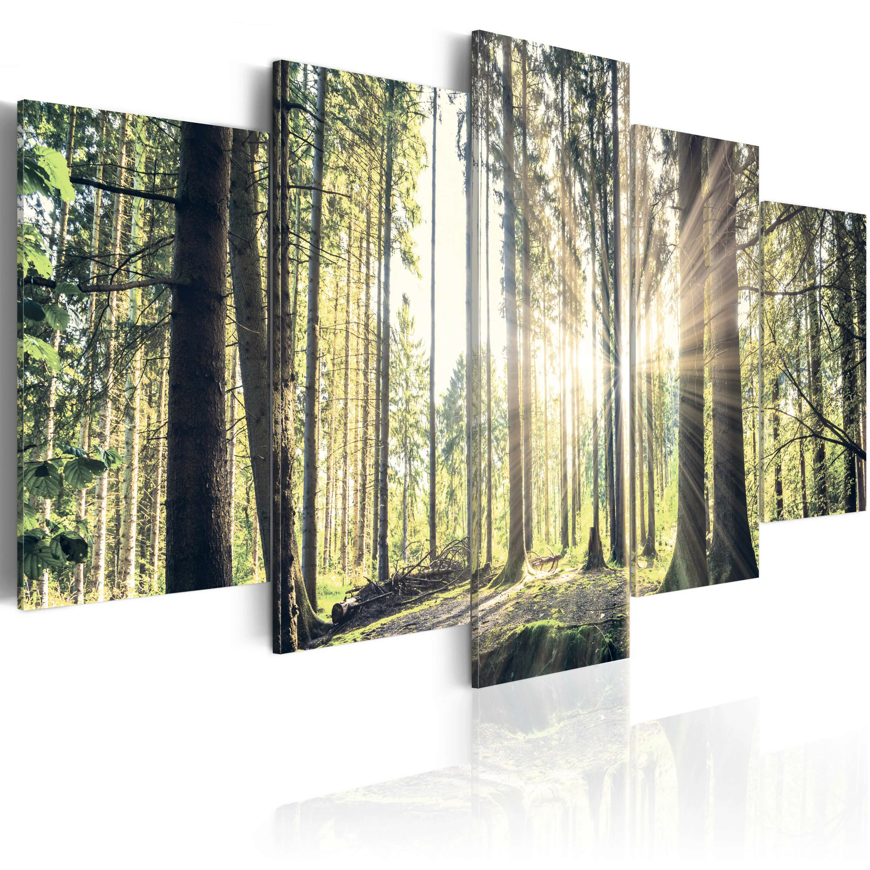 Wandbild - Forest Temple günstig online kaufen