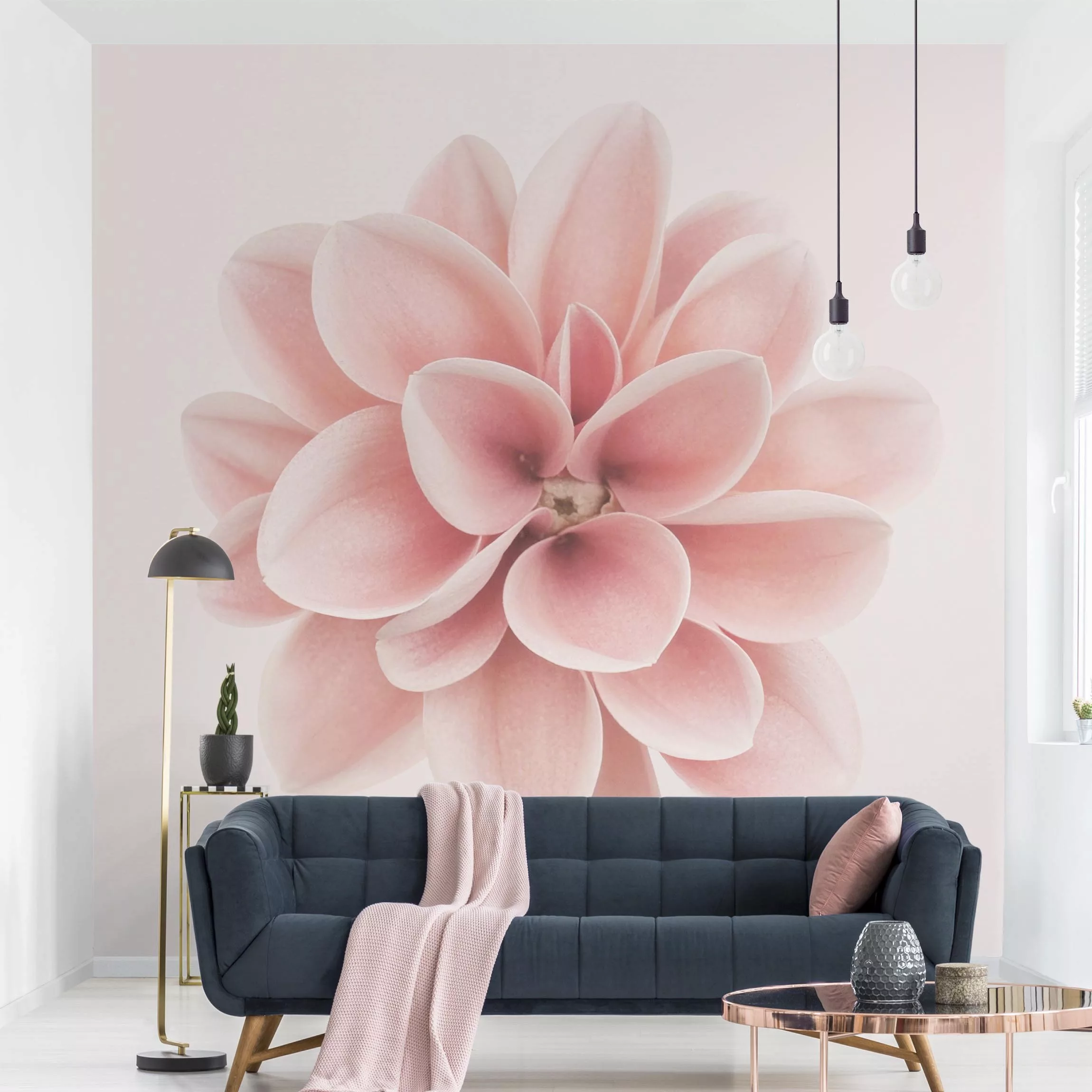 Fototapete Dahlie Rosa Pastell Blume Zentriert günstig online kaufen