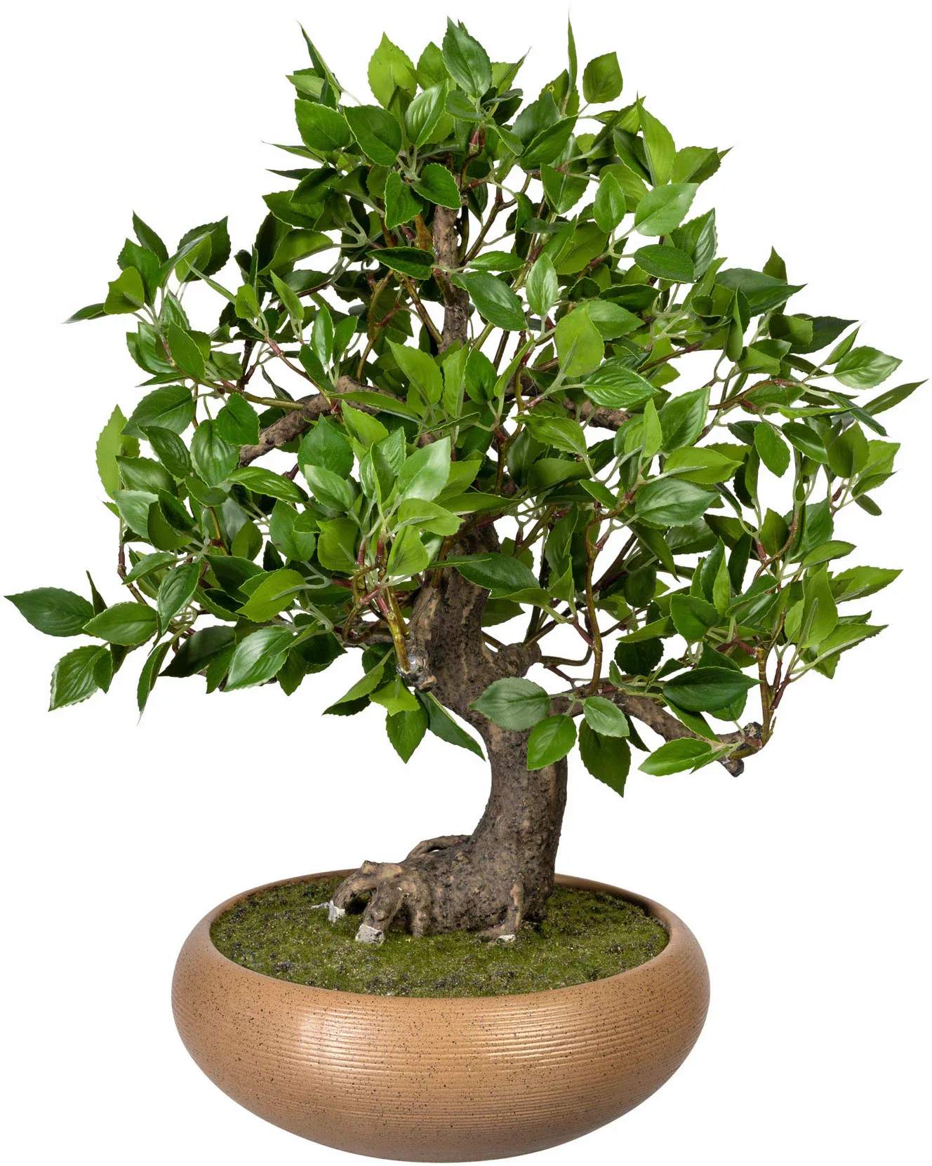 Creativ green Kunstbonsai "Bonsai Ficus" günstig online kaufen