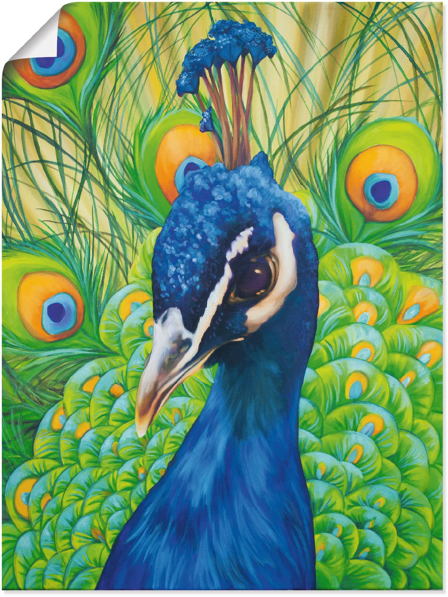 Artland Wandbild "Pfau", Vögel, (1 St.) günstig online kaufen