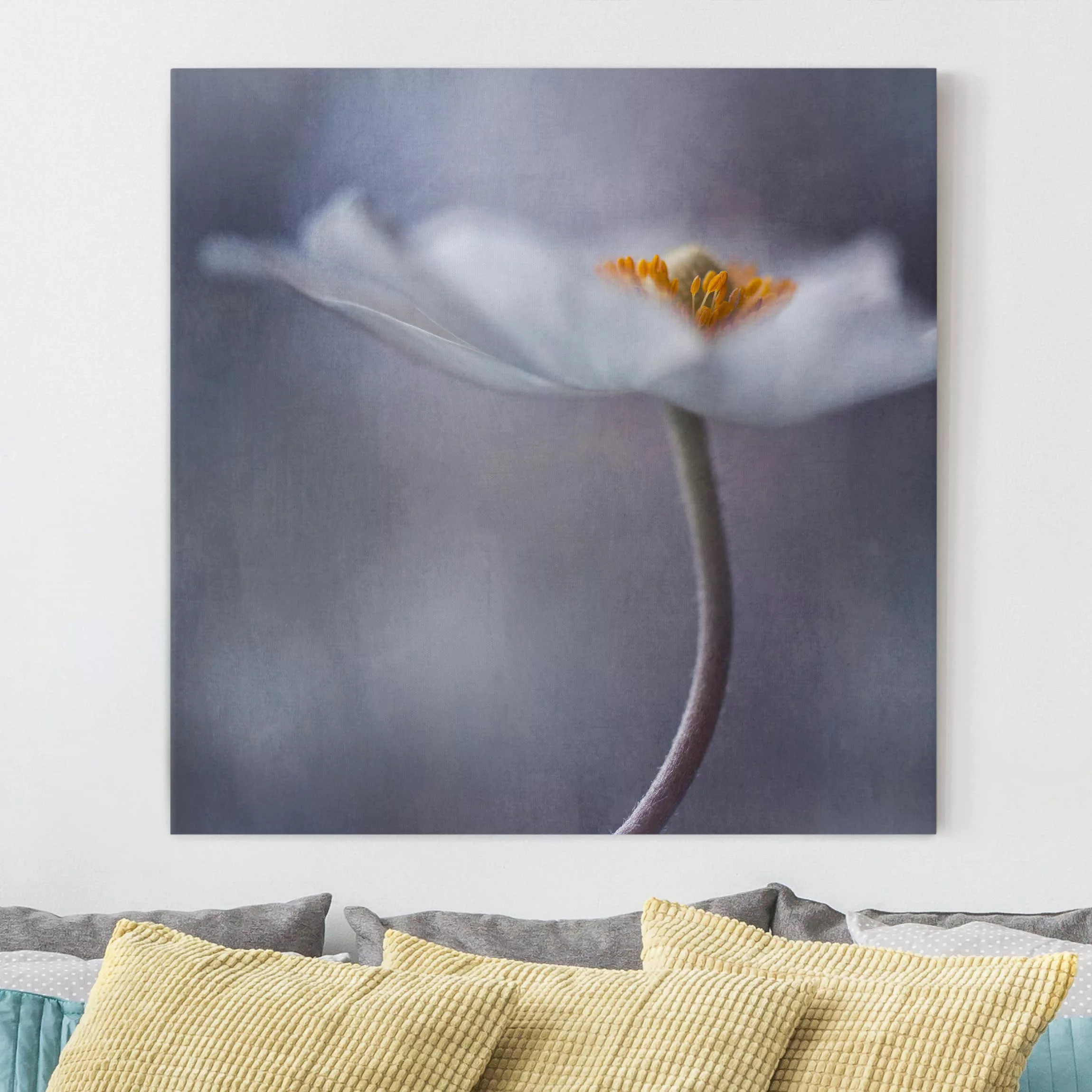 Leinwandbild Blumen - Quadrat Weiße Anemonenblüte günstig online kaufen