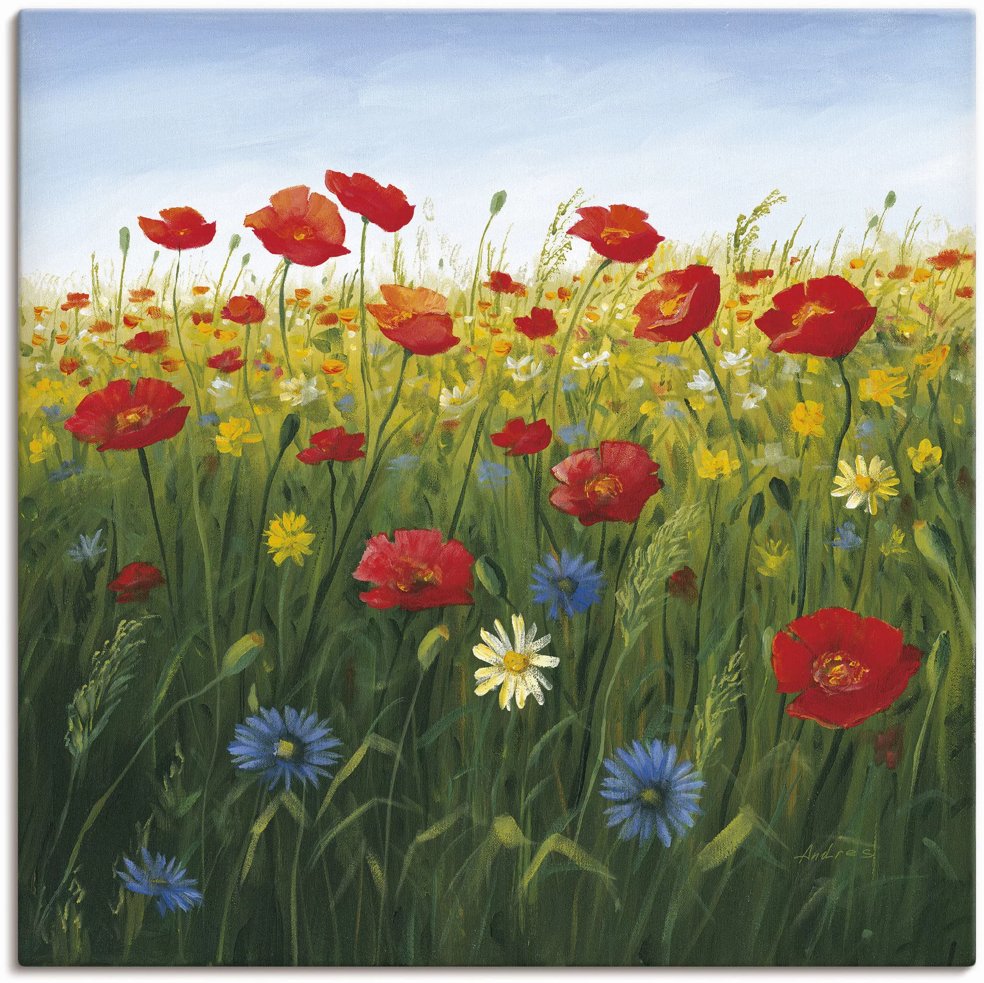 Artland Wandbild "Mohnblumen Landschaft I", Blumenwiese, (1 St.), als Alubi günstig online kaufen