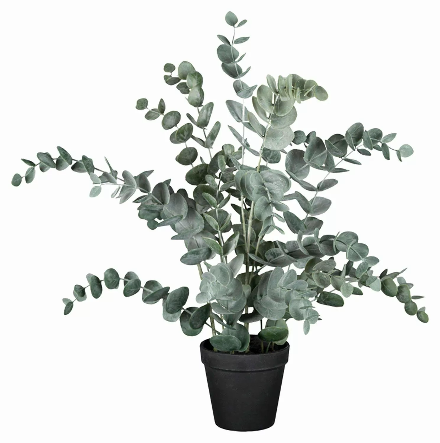 Kunstpflanze Eukalyptus im Topf HELENAS, Grün, günstig online kaufen