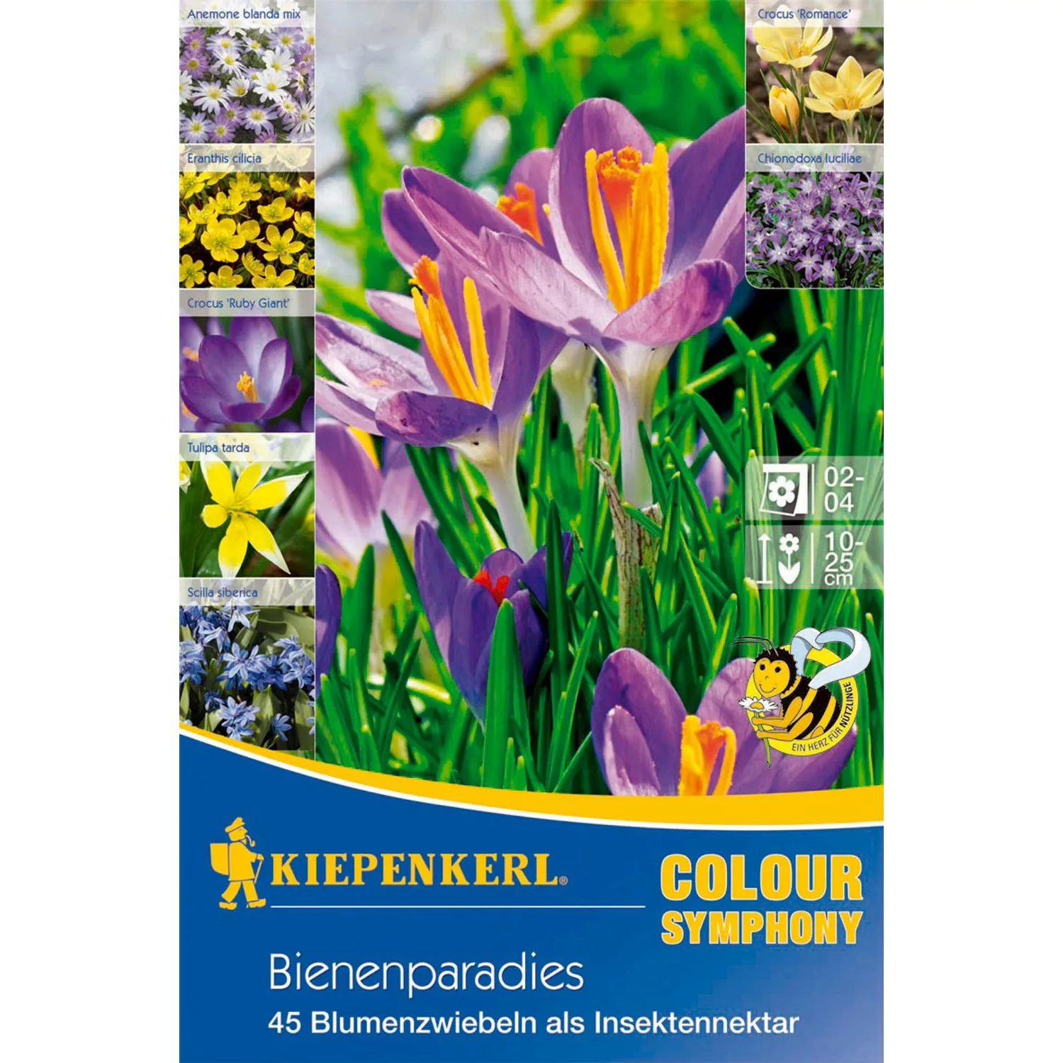 Kiepenkerl Blumenzwiebeln Colour Symphony Bienenparadies Mix 45 Stück günstig online kaufen