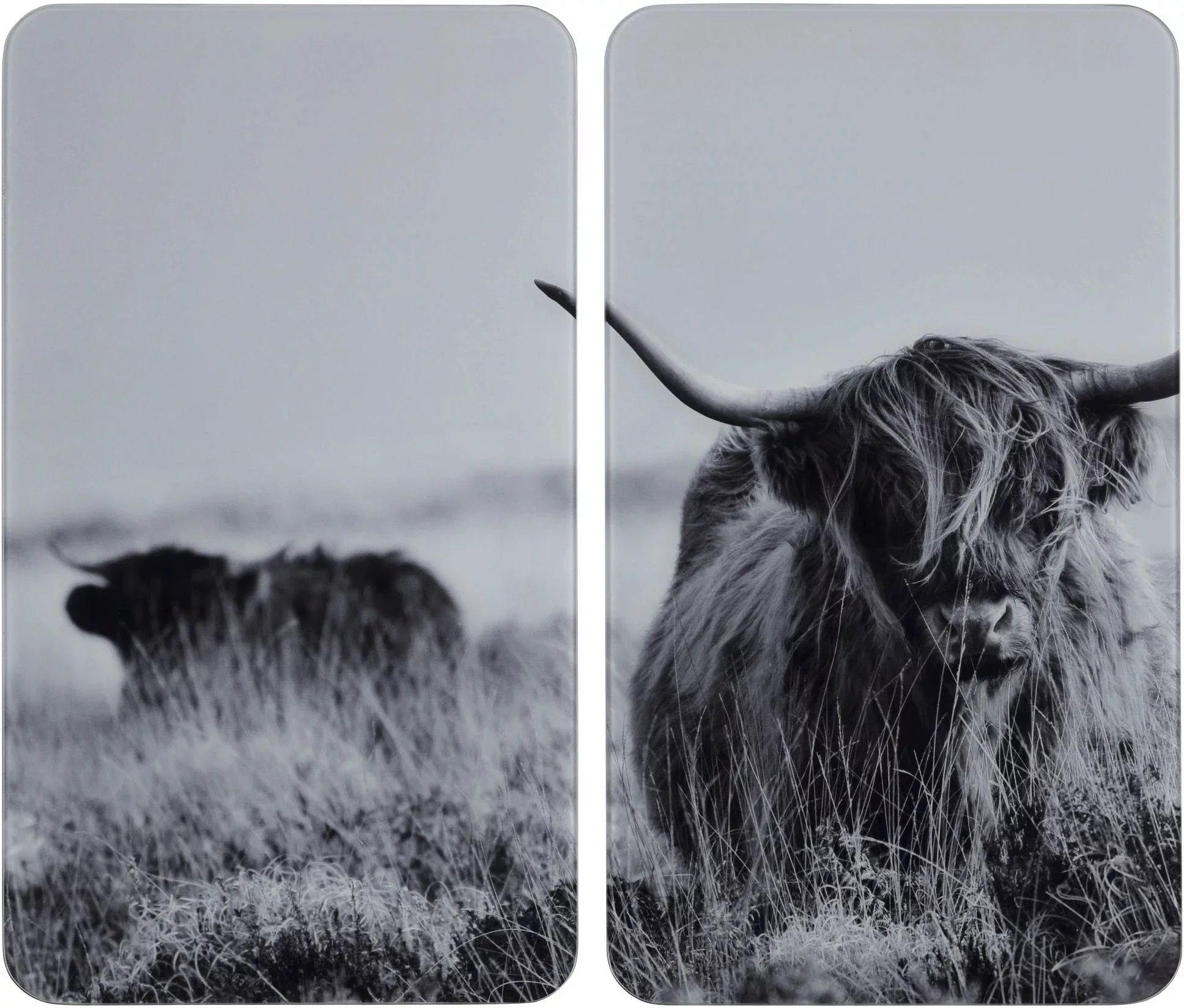 WENKO Herd-Abdeckplatte »Highland Cattle«, (Set, 2 tlg.) günstig online kaufen