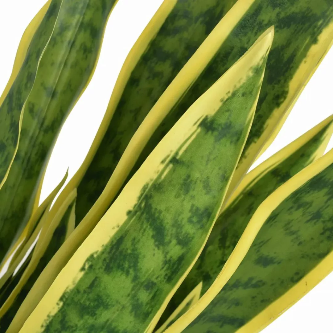 Künstliche Sansevieria Bogenhanf Mit Topf 65 Cm Grün günstig online kaufen