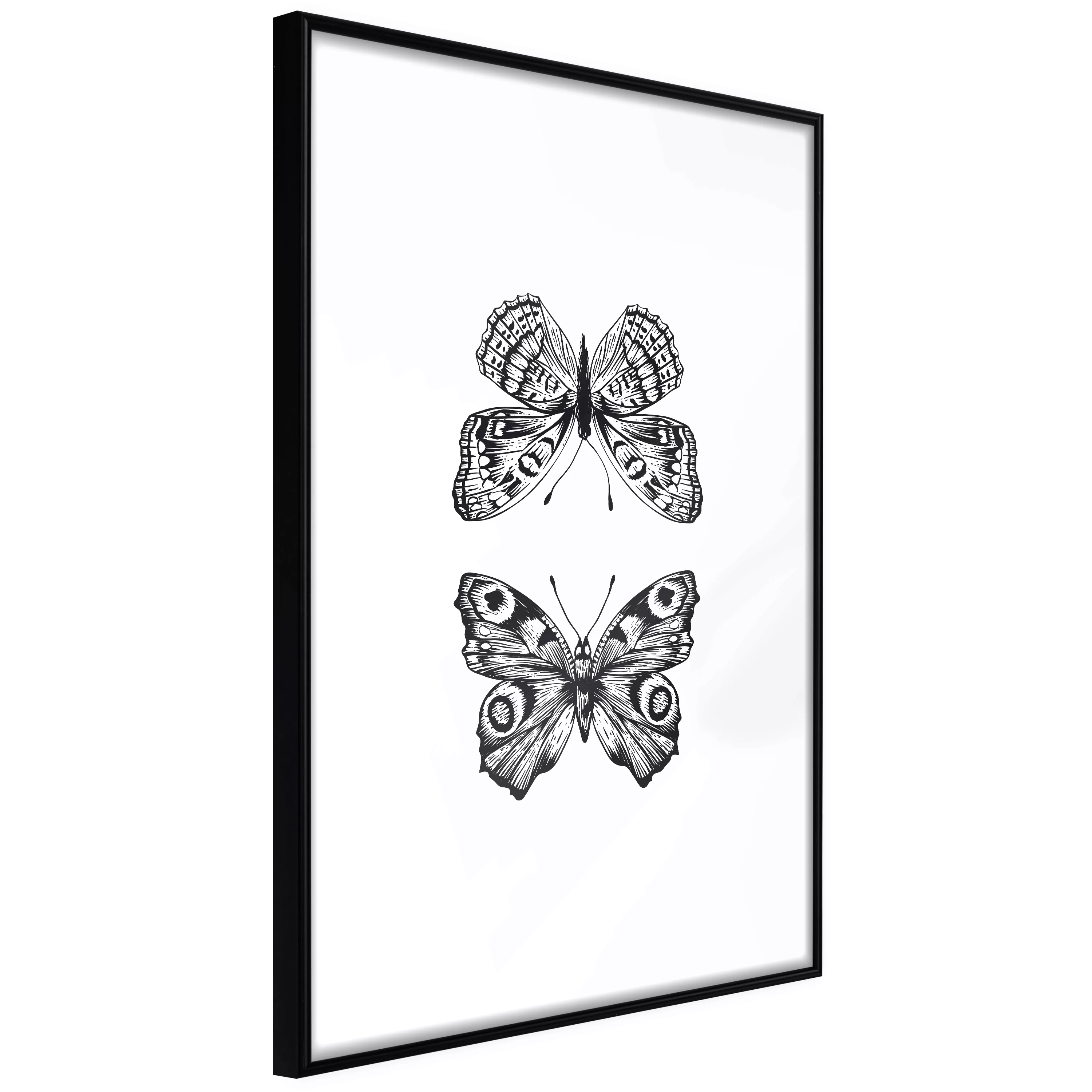 Poster - Butterfly Collection I günstig online kaufen