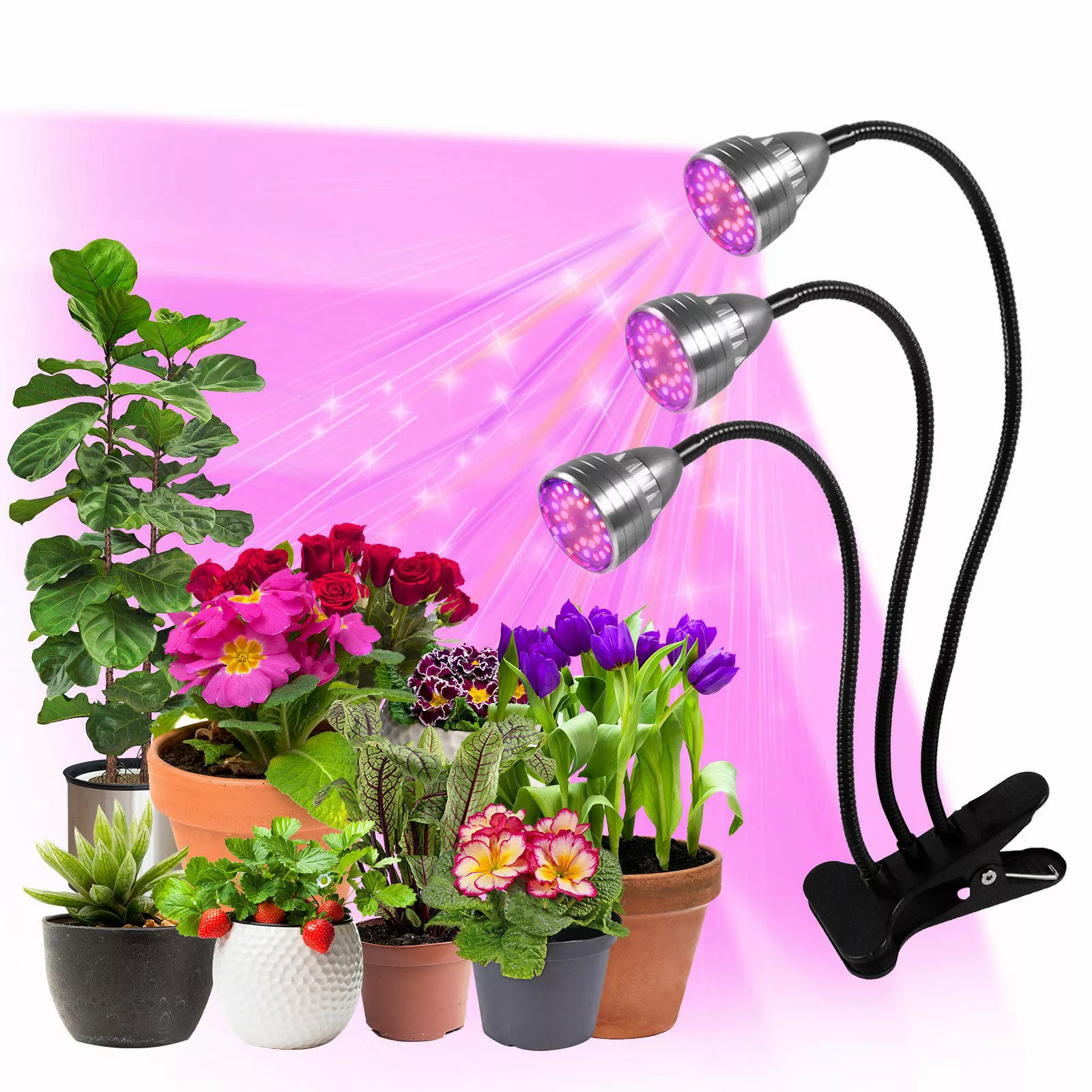 MUPOO Pflanzenlampe Vollspektrum Wachstumslampen Auto Timer,USB günstig online kaufen