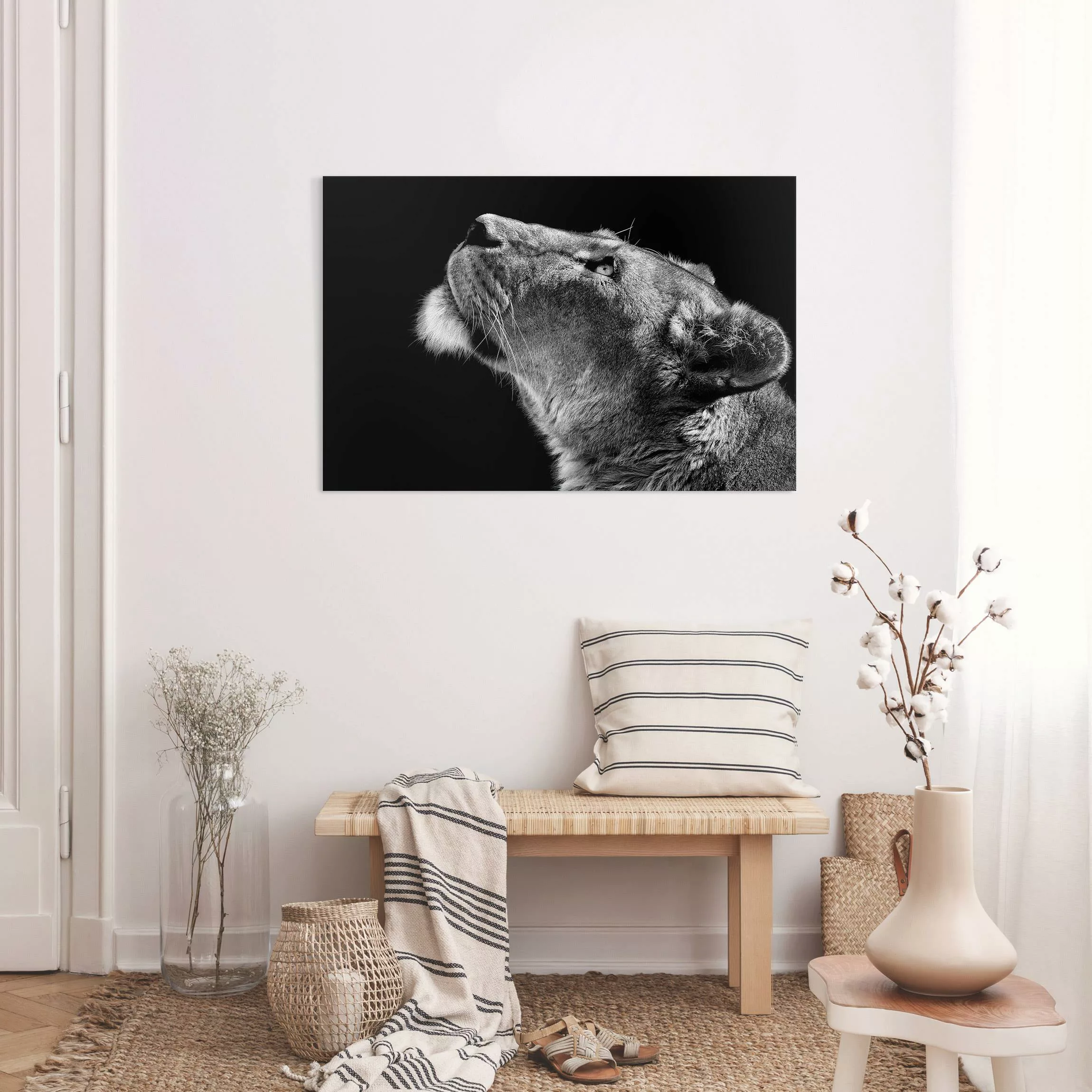 Leinwandbild Portrait einer Löwin günstig online kaufen