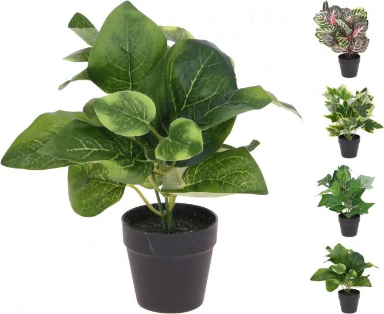 Mini Kunstpflanze inkl Topf von Koopman günstig online kaufen
