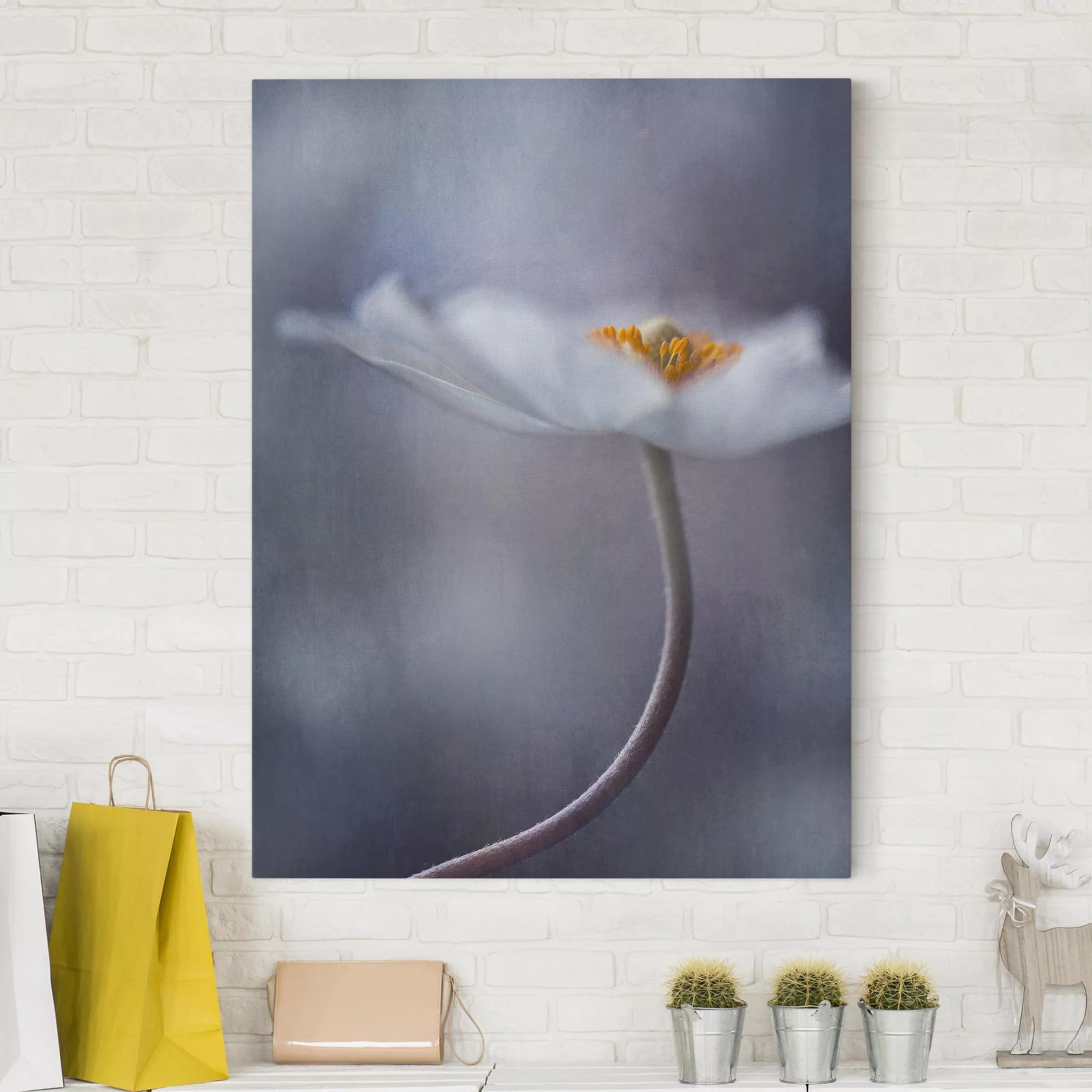 Leinwandbild Blumen - Hochformat Weiße Anemonenblüte günstig online kaufen