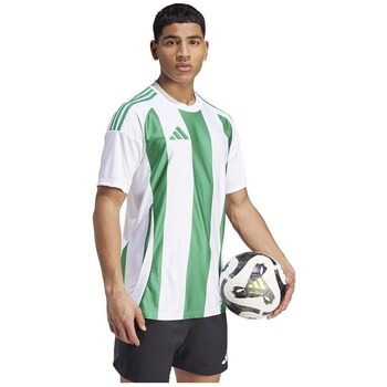 adidas  T-Shirt Striped 24 Jsy günstig online kaufen