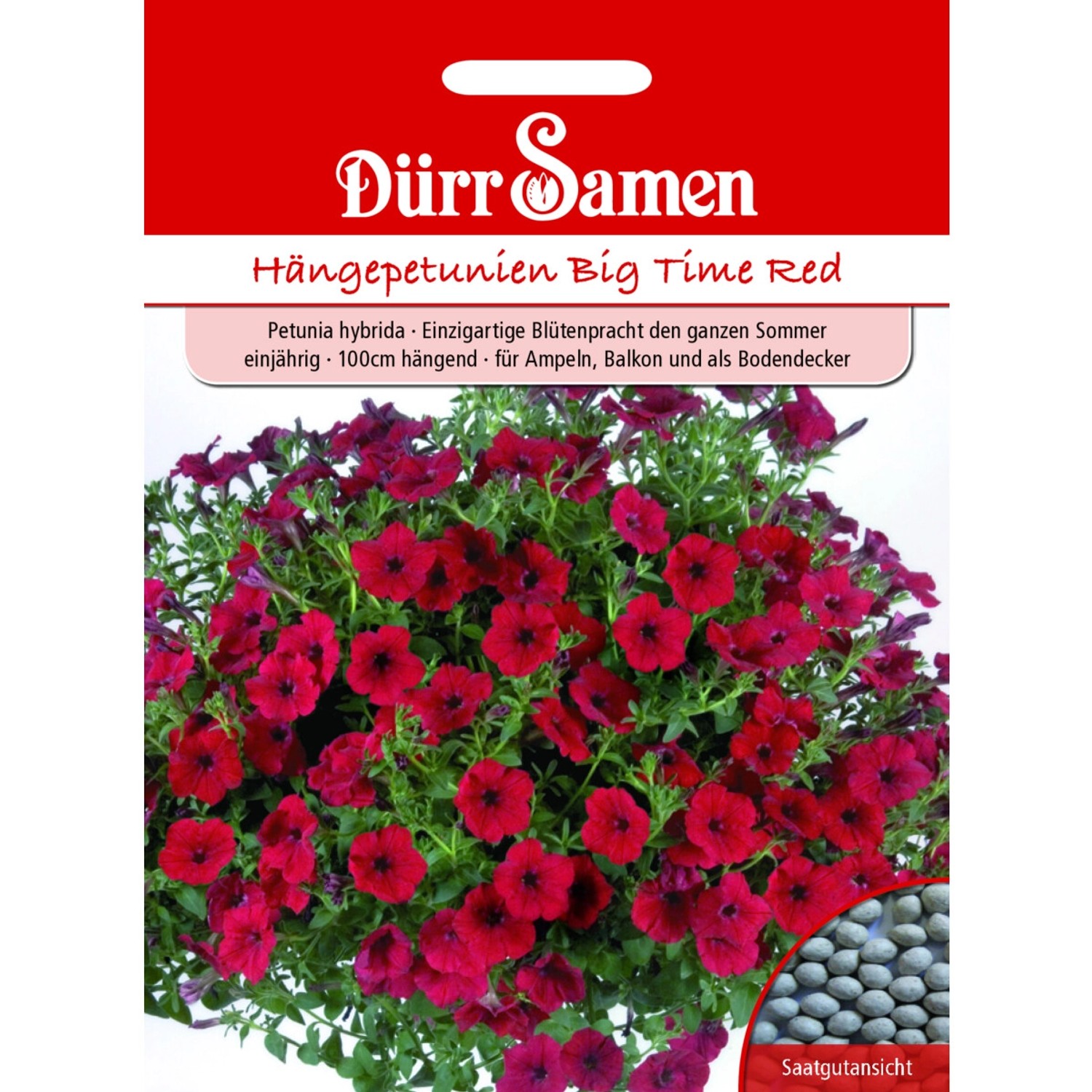 Dürr Samen Petunien Big Time Red Einjährig Saatgut günstig online kaufen