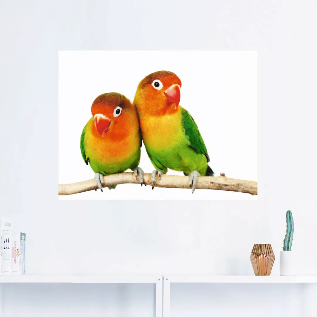 Artland Wandbild "Paar von Grauköpfchen - Papageien", Vögel, (1 St.) günstig online kaufen