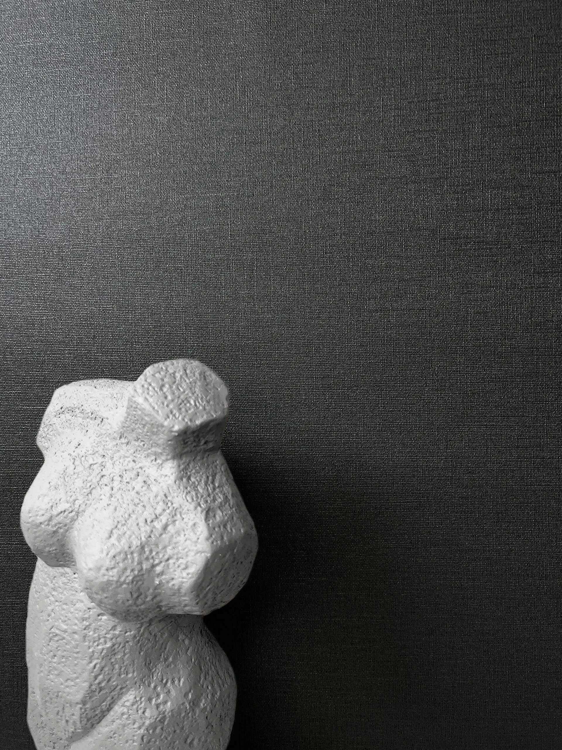 Newroom Vliestapete, Schwarz Tapete Uni Einfarbig günstig online kaufen