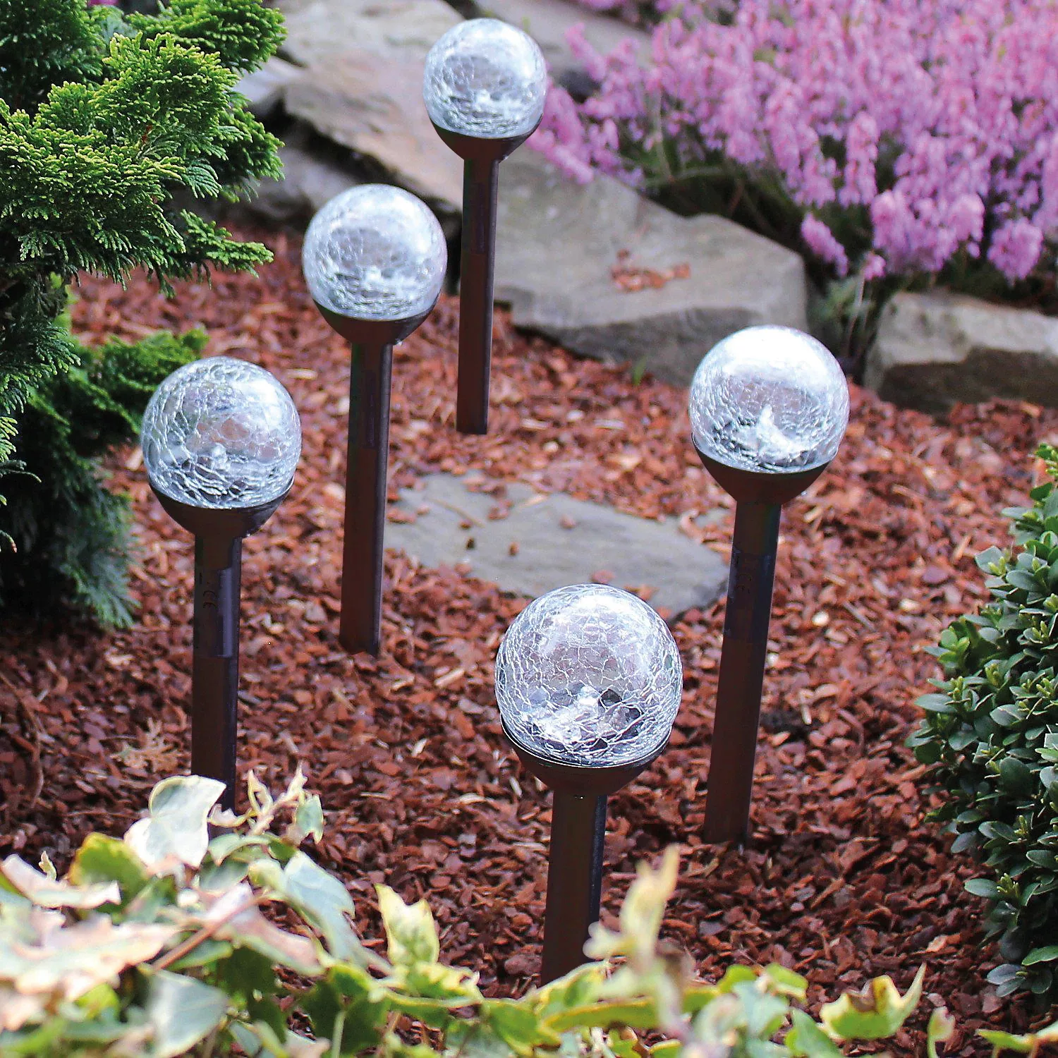 Think@Pets Gartenleuchte "BALLS", Leuchtmittel LED-Board  LED fest integrie günstig online kaufen