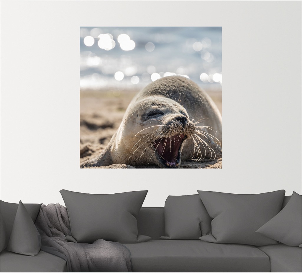 Artland Wandbild »Baby-Robbe am Strand von List, Sylt«, Robben, (1 St.), al günstig online kaufen