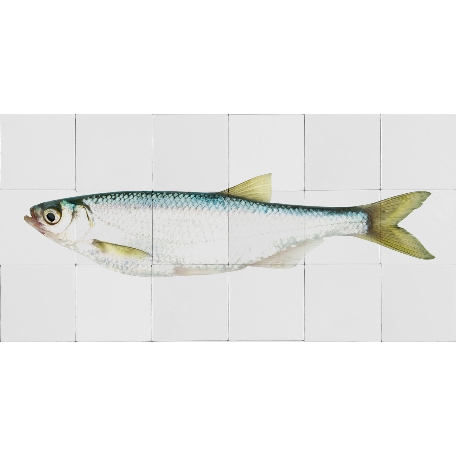 ESTAhome Wandtattoo Fisch Gelb und Blau 97 x 48,5 cm 159028 günstig online kaufen