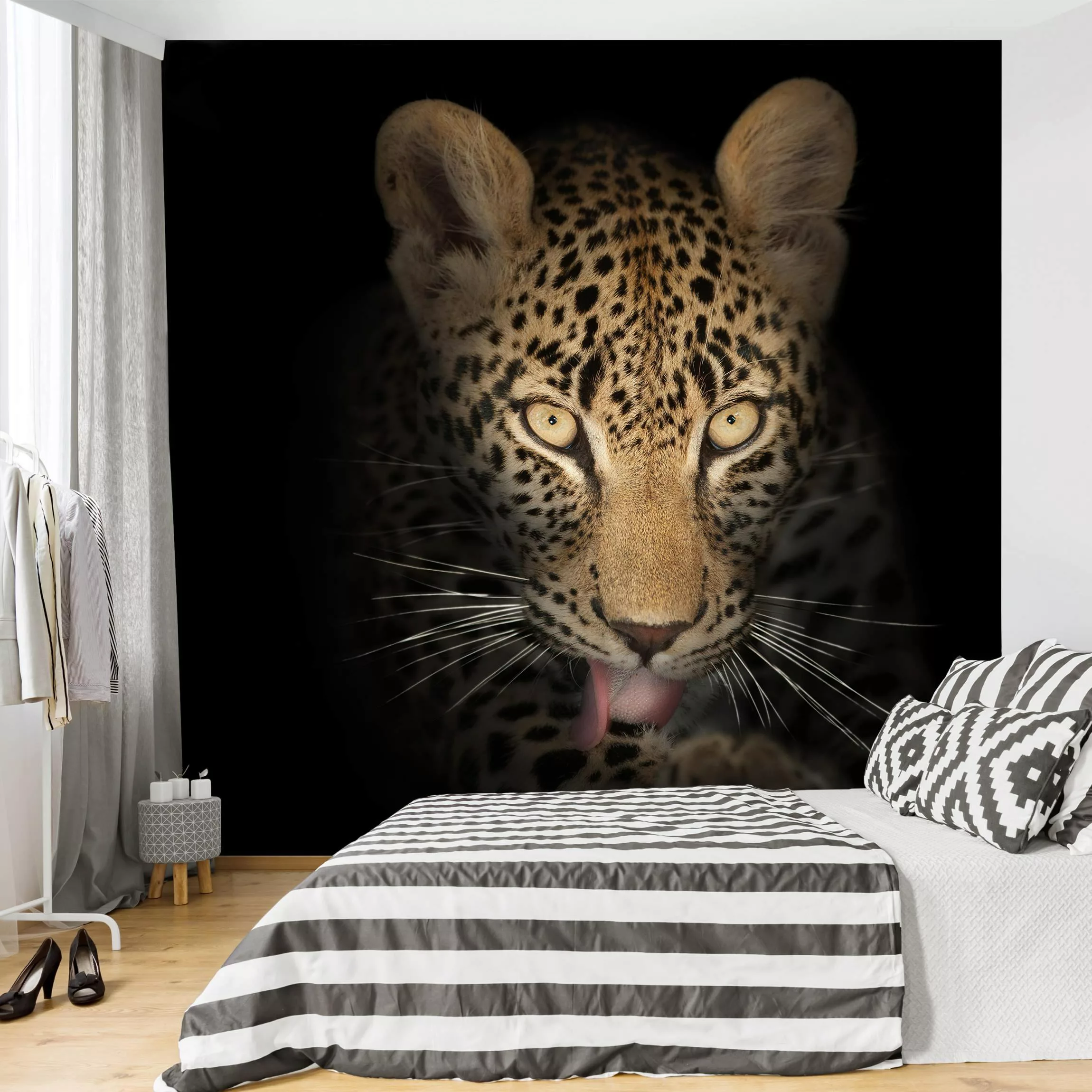 Fototapete Resting Leopard günstig online kaufen
