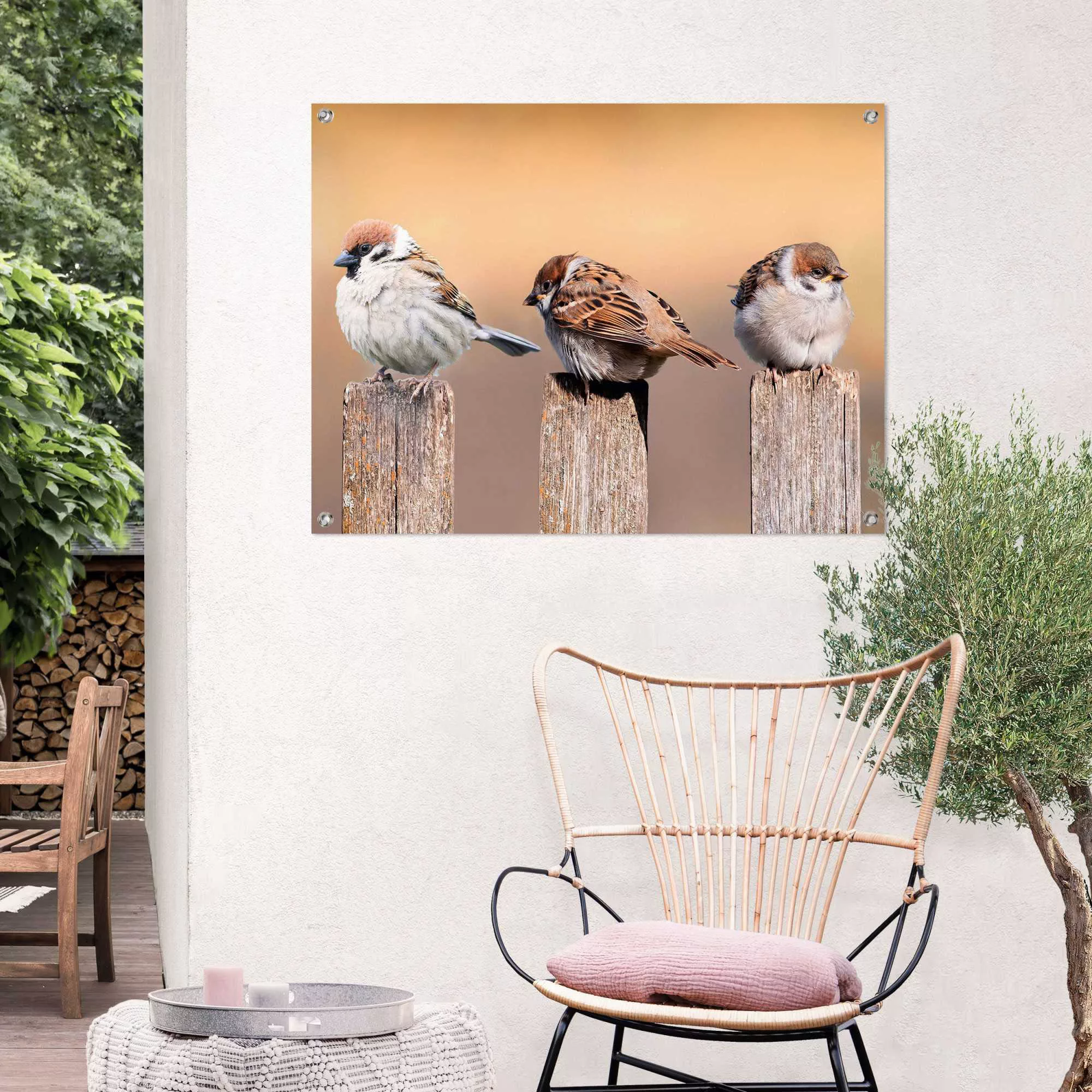 Reinders Poster "Vogelfamilie" günstig online kaufen