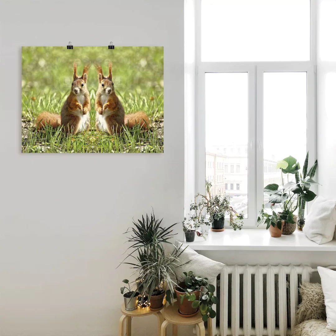 Artland Wandbild "Rote Eichhörnchen Zwillinge", Wildtiere, (1 St.), als Lei günstig online kaufen