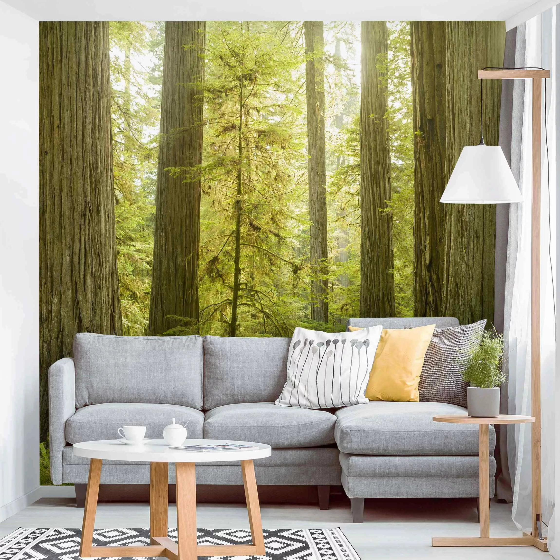 Fototapete Redwood State Park Waldblick günstig online kaufen