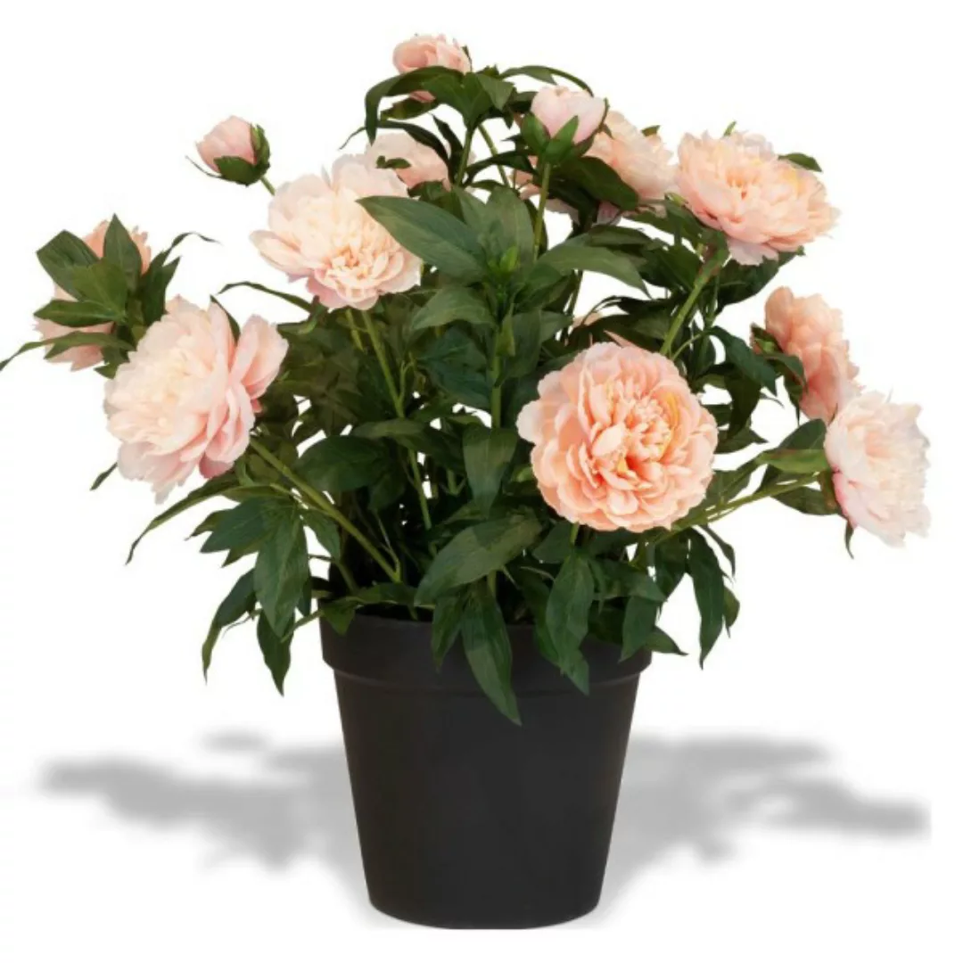 Künstliche Paeonia - Pfingstrosen Höhe 86 cm rosa günstig online kaufen