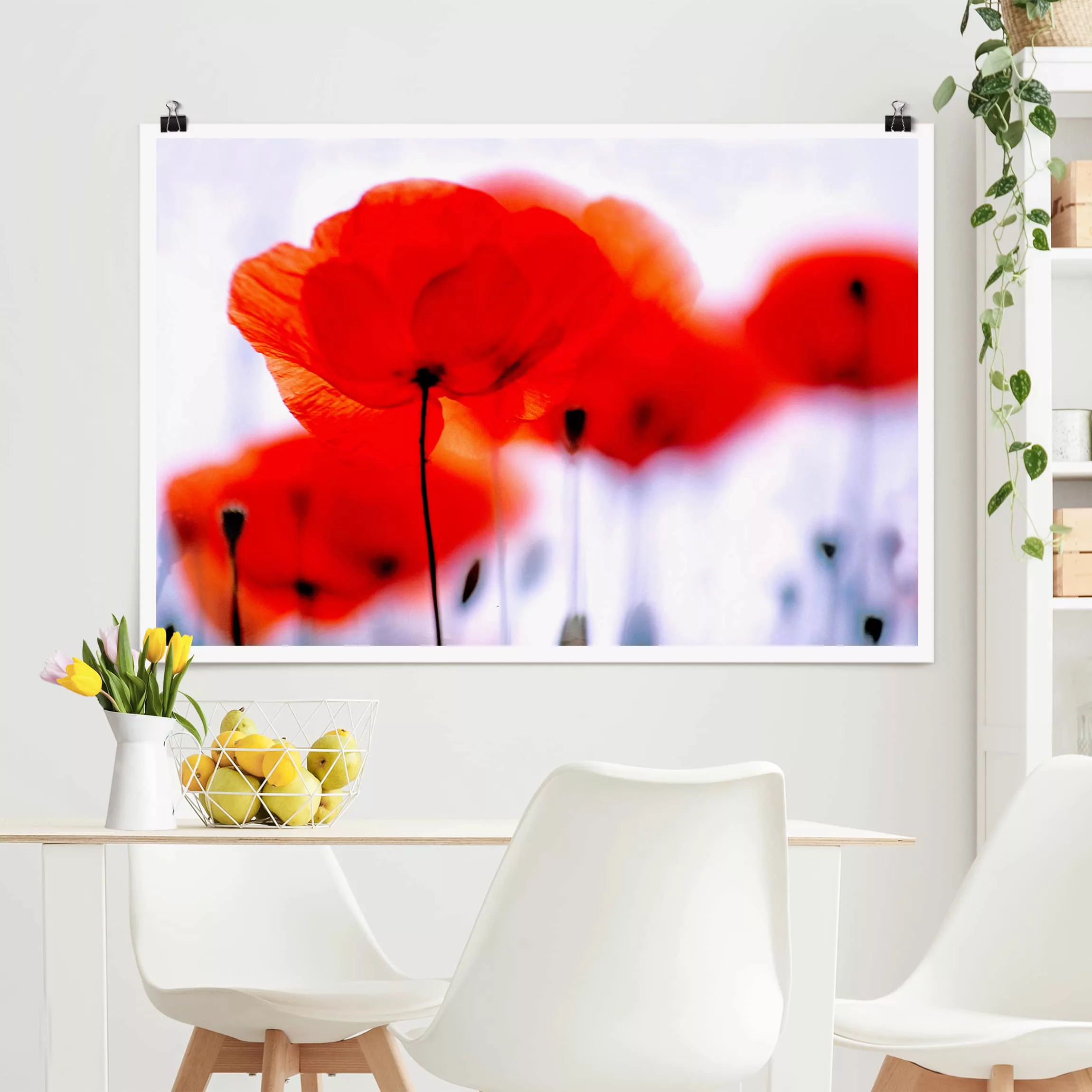 Poster Kunstdruck - Querformat Magic Poppies günstig online kaufen