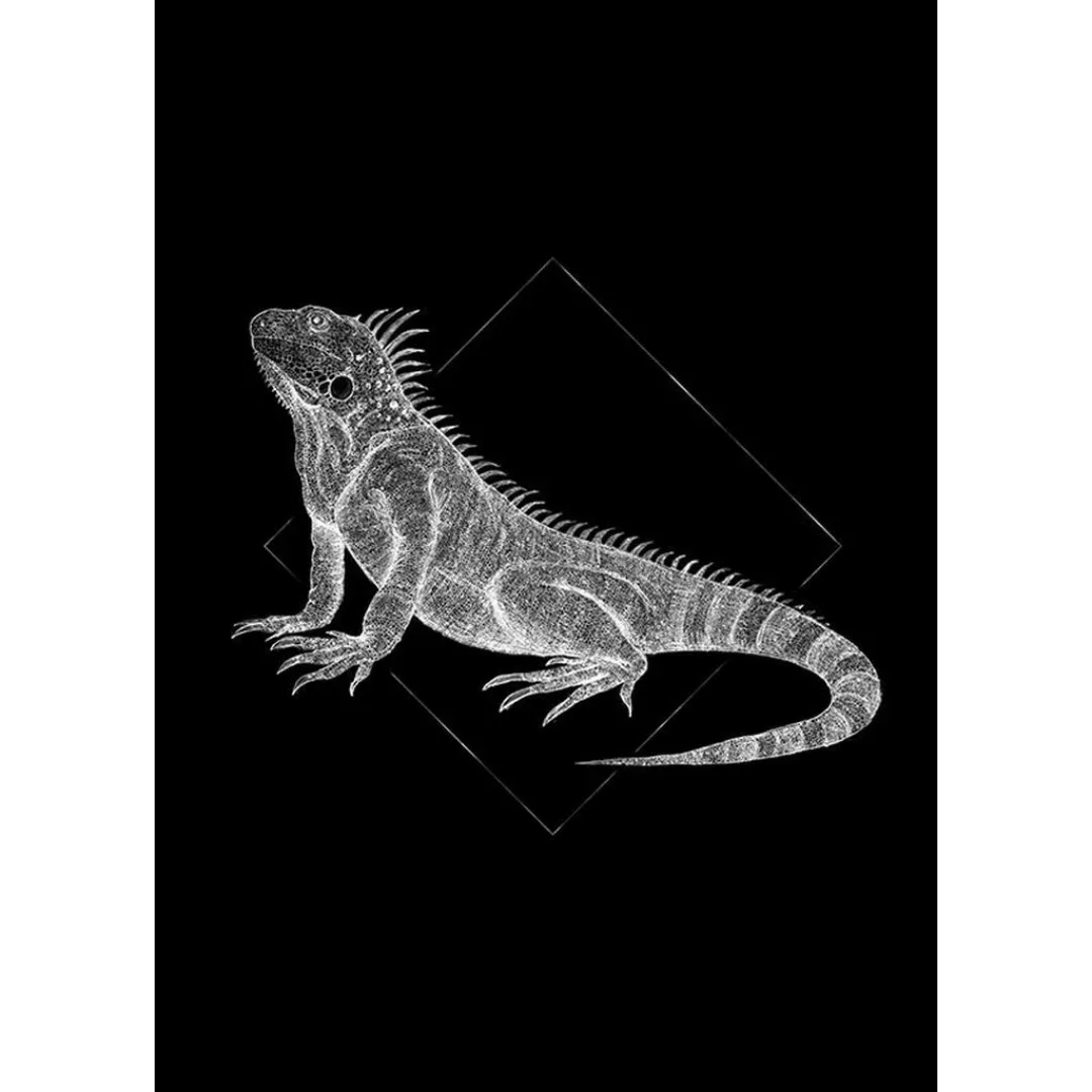 Komar Wandbild Iguana Black Tiere B/L: ca. 50x70 cm günstig online kaufen