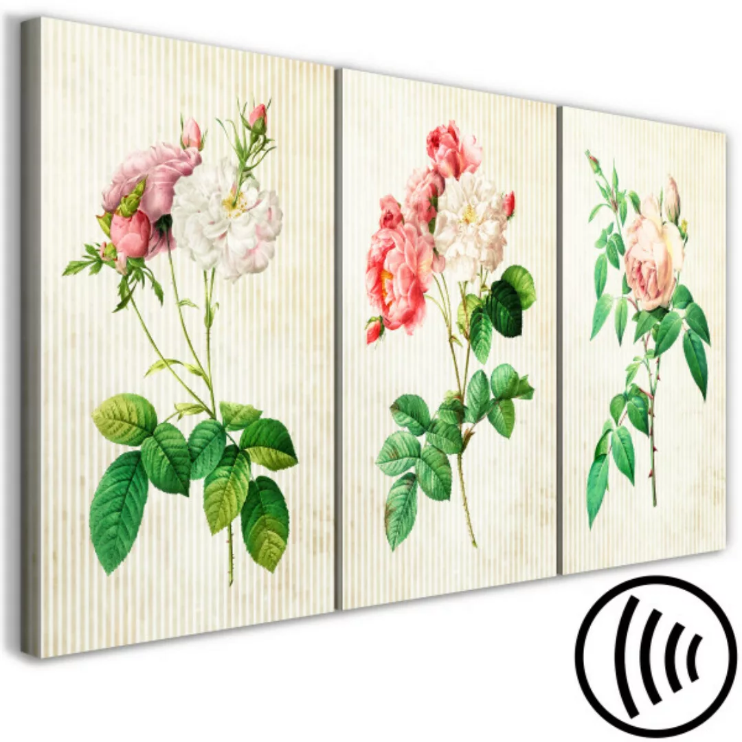 Bild auf Leinwand Floral Trio (Collection) XXL günstig online kaufen