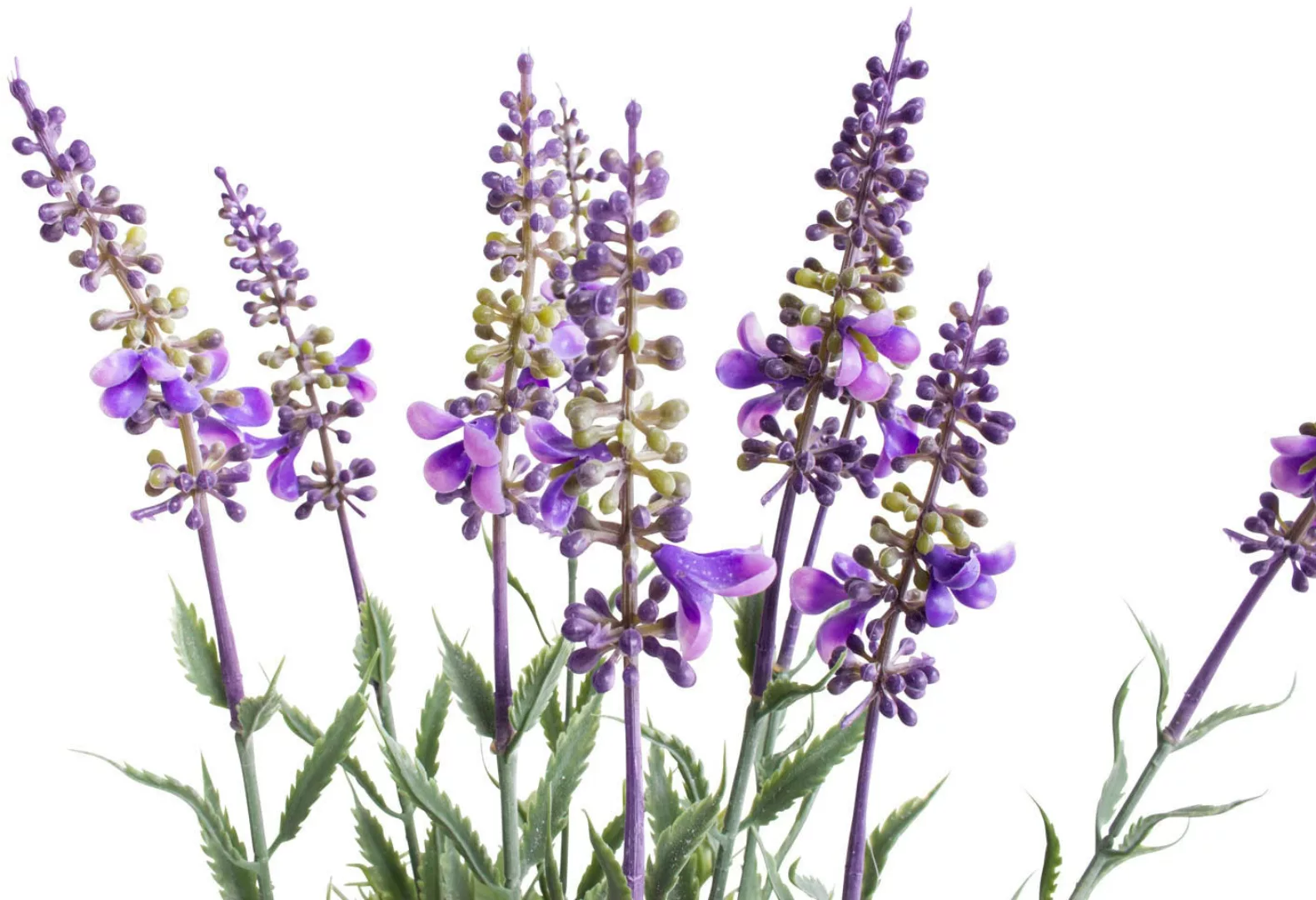 Botanic-Haus Künstliche Zimmerpflanze "Lavendel - Kräutertopf" günstig online kaufen