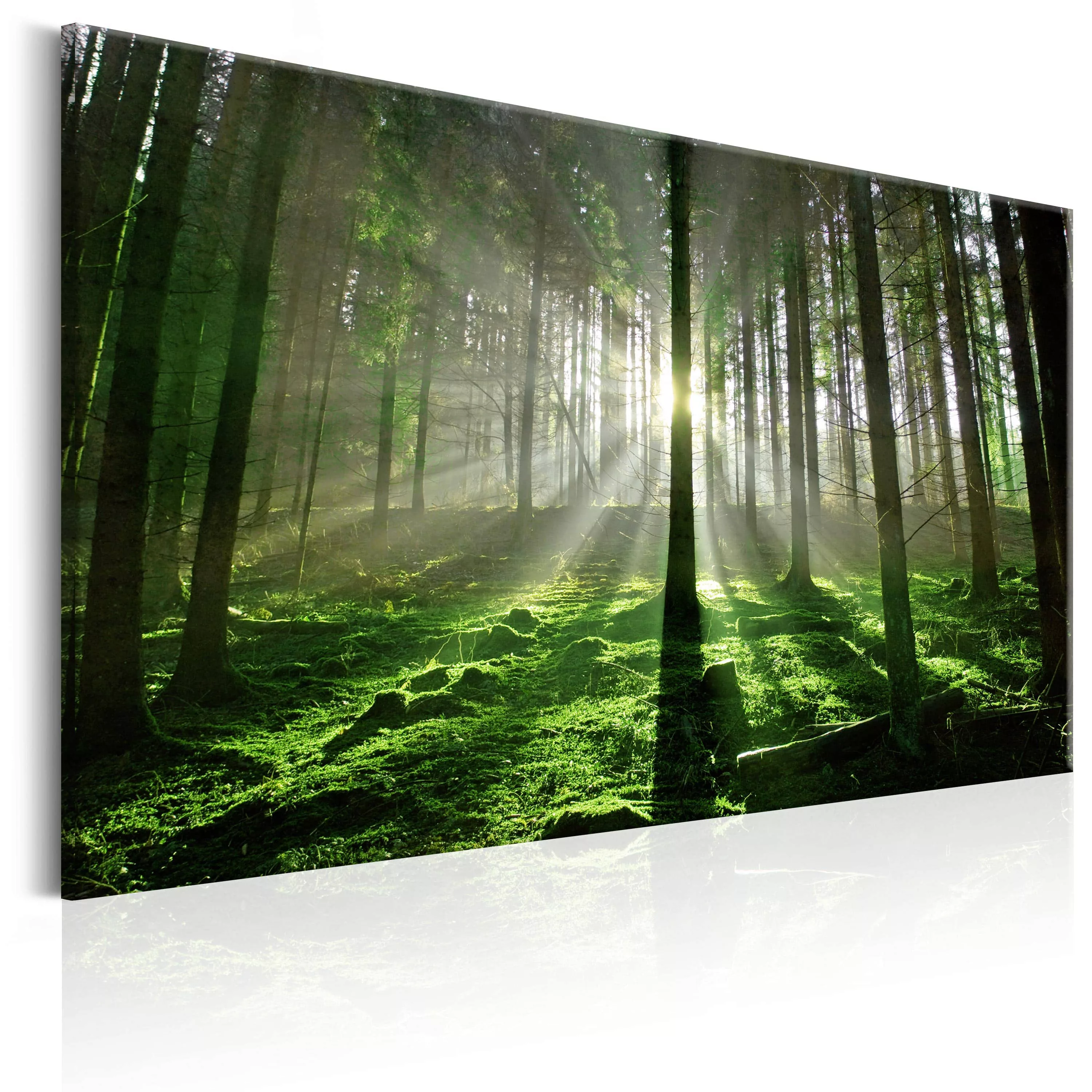 Wandbild - Emerald Forest II günstig online kaufen