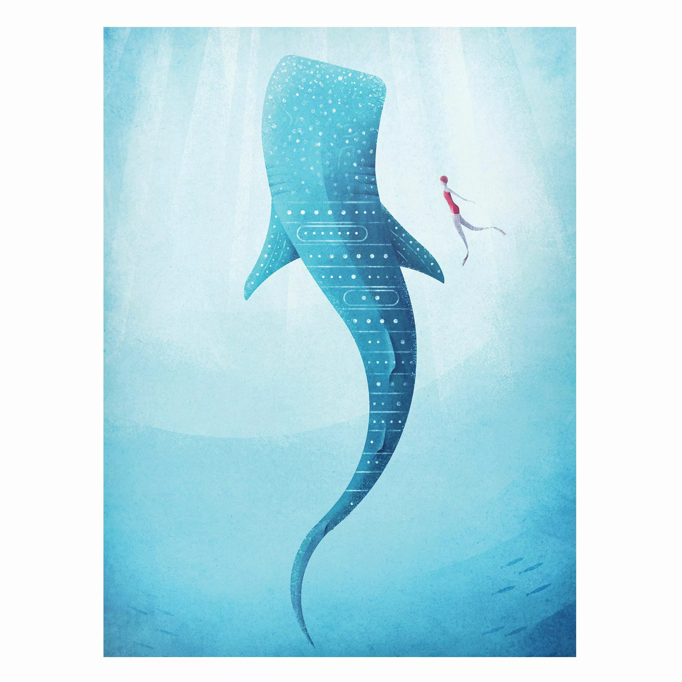 Magnettafel Tiere - Hochformat 3:4 Der Walhai günstig online kaufen