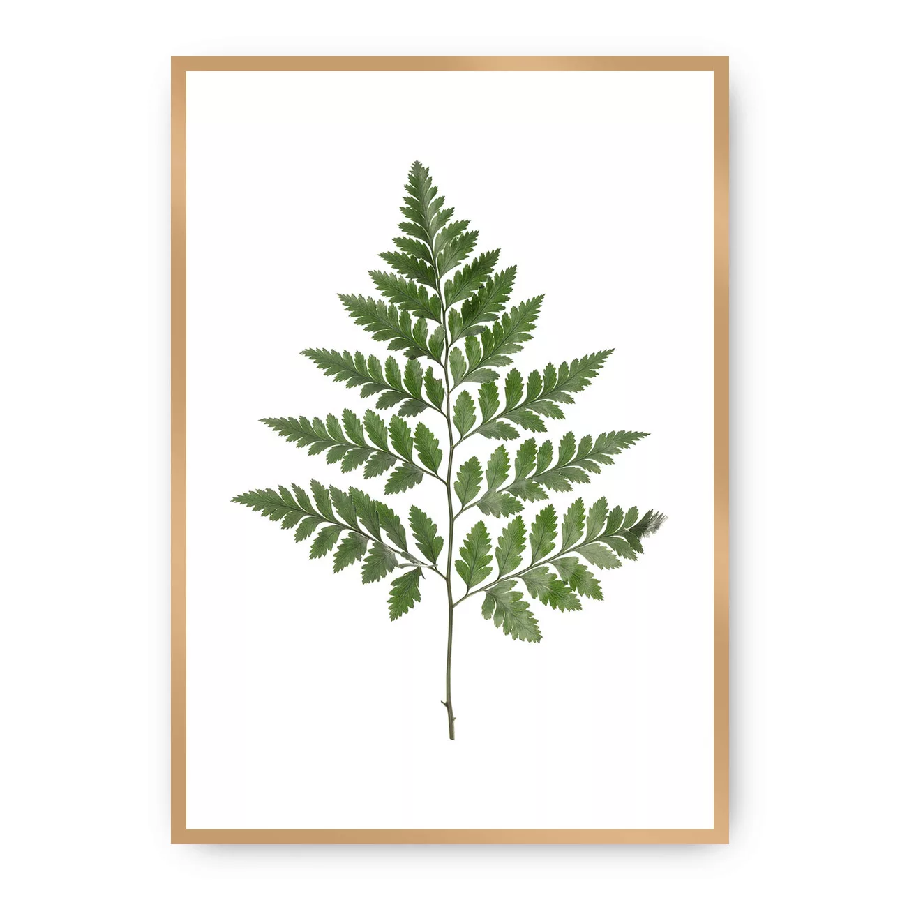 Poster Fern Green, 70 x 100 cm, Rahmen wählen: gold günstig online kaufen