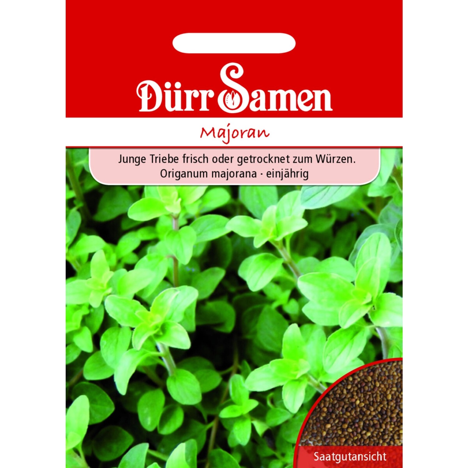 Dürr Samen Majoran Saatgut günstig online kaufen