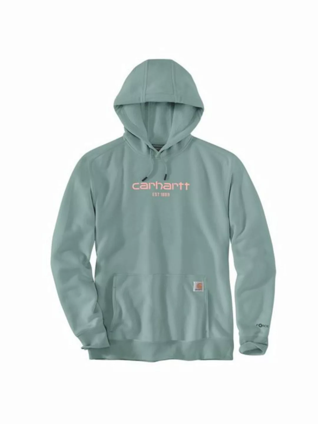 Carhartt Kapuzensweatshirt Carhartt Logo, Graphic Sweatshirt günstig online kaufen