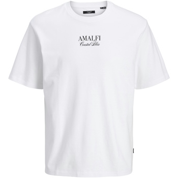 Jack & Jones  T-Shirt T-Shirt DESTINATION Kurzarmshirt günstig online kaufen