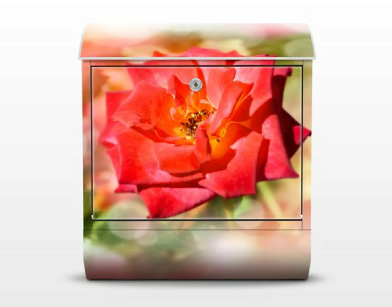 Briefkasten Liebe & Romantik No.YK19 Shining Rose günstig online kaufen